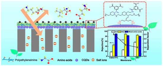 OGA Recent Developments in Nanocomposite Membranes Based on