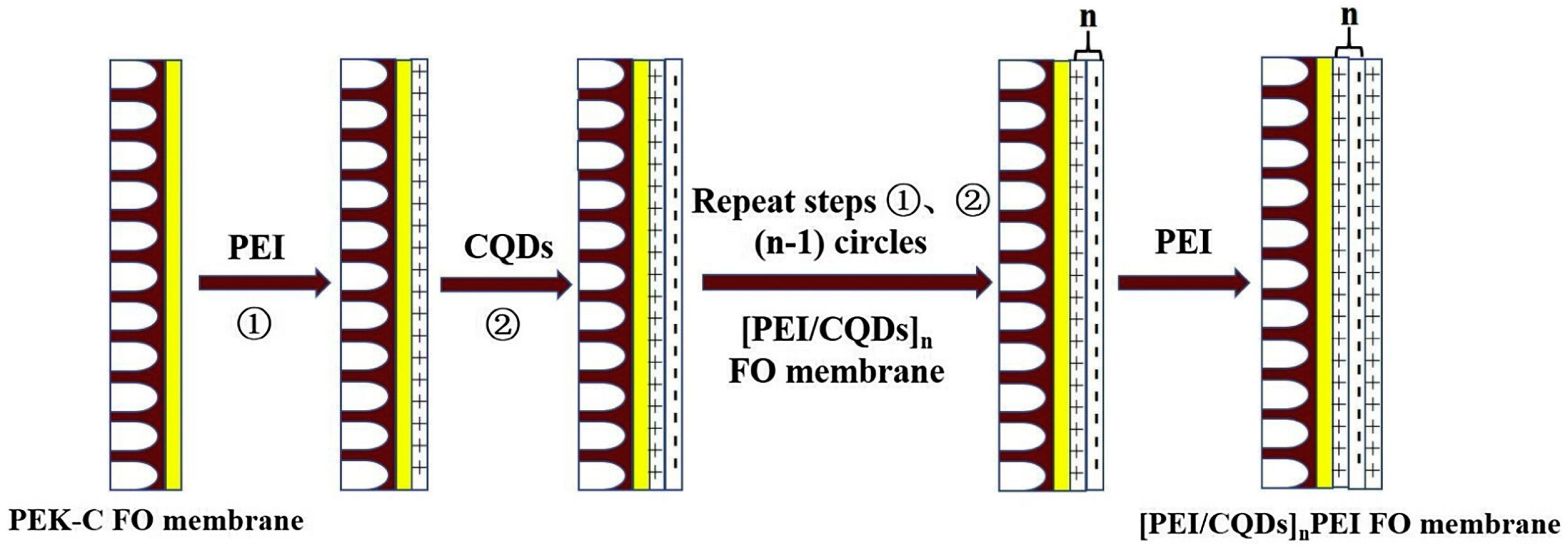 Polymers 16 01481 g010