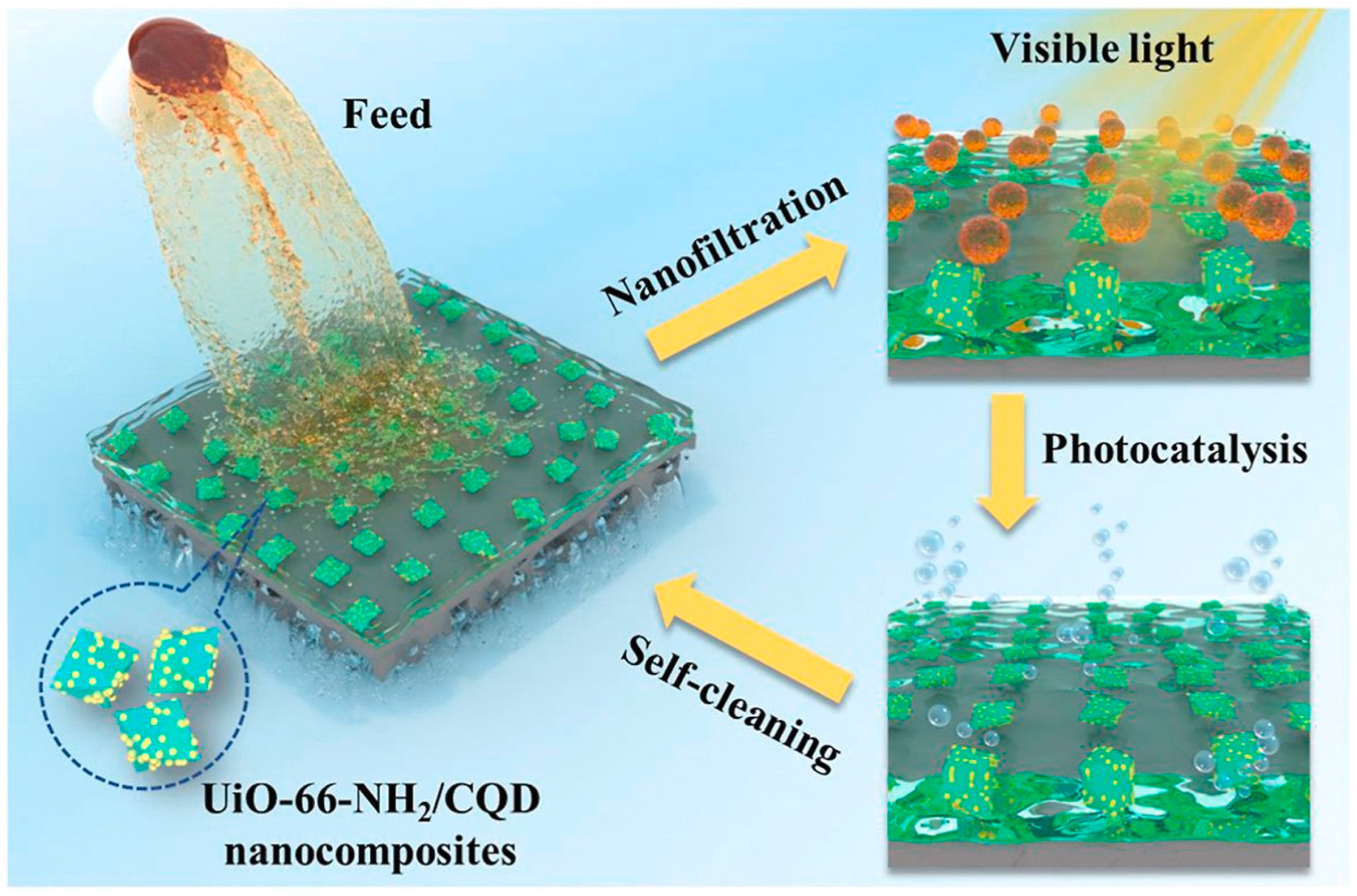 Polymers 16 01481 g012
