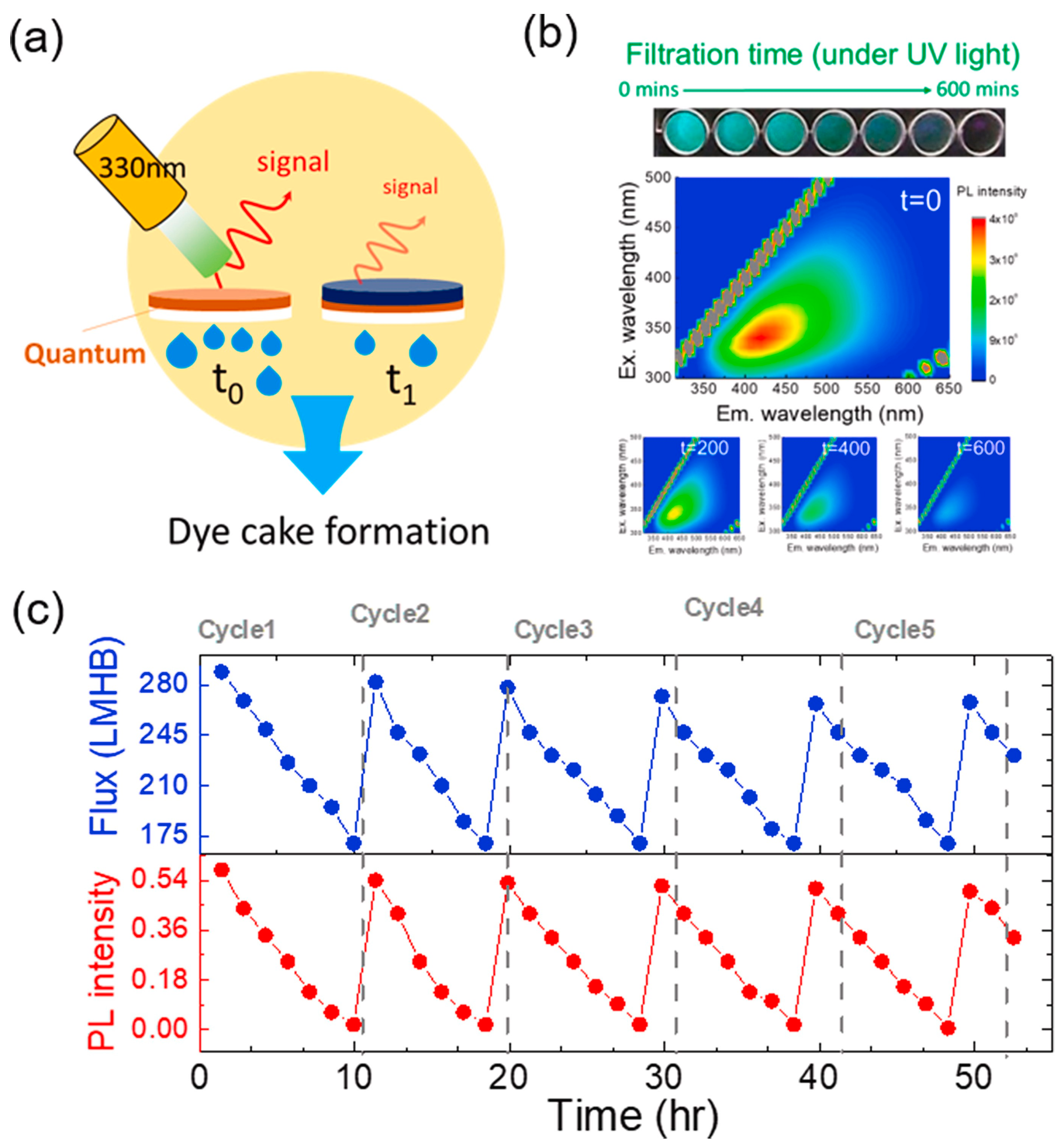 Polymers 16 01481 g014