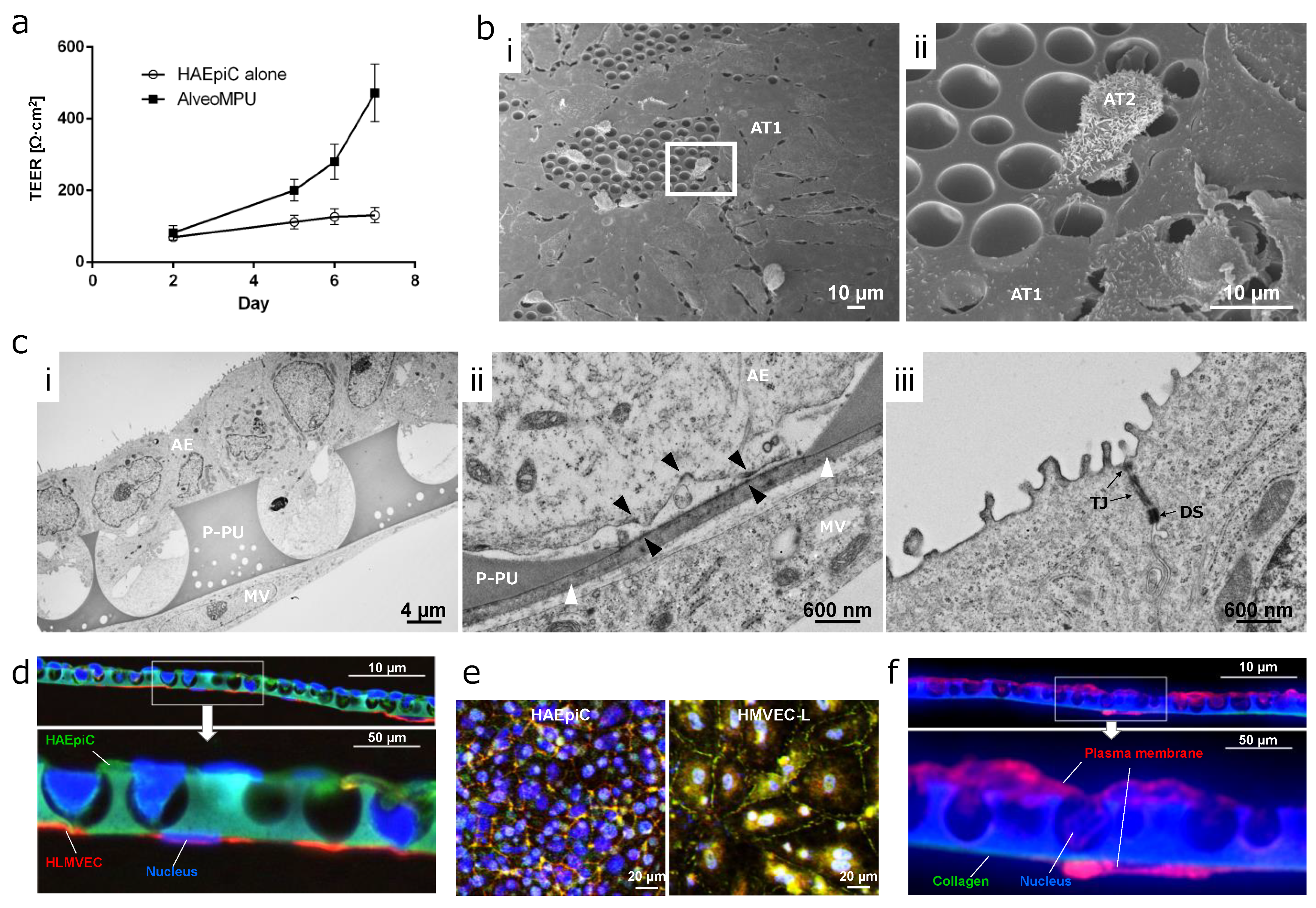 Polymers 16 01486 g003