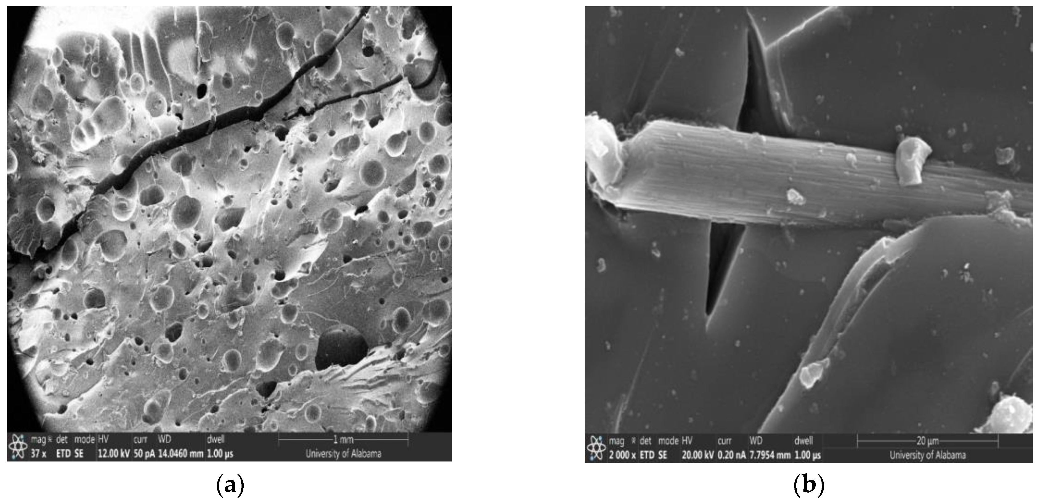 Polymers 16 01493 g009a