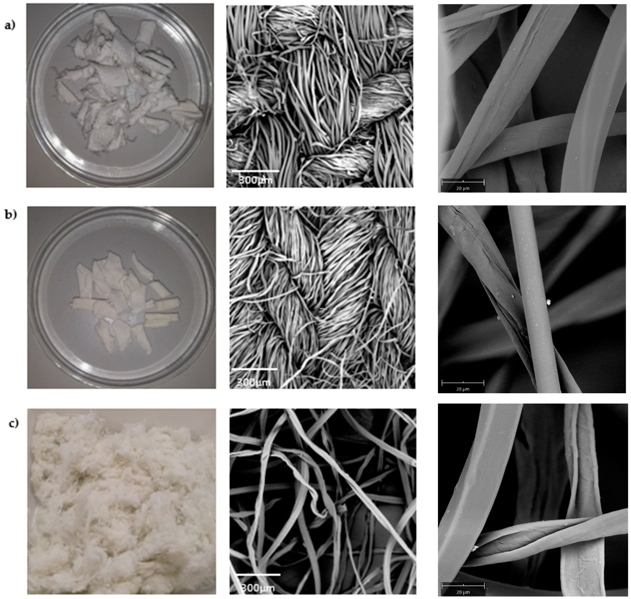 Polymers 16 01495 g002