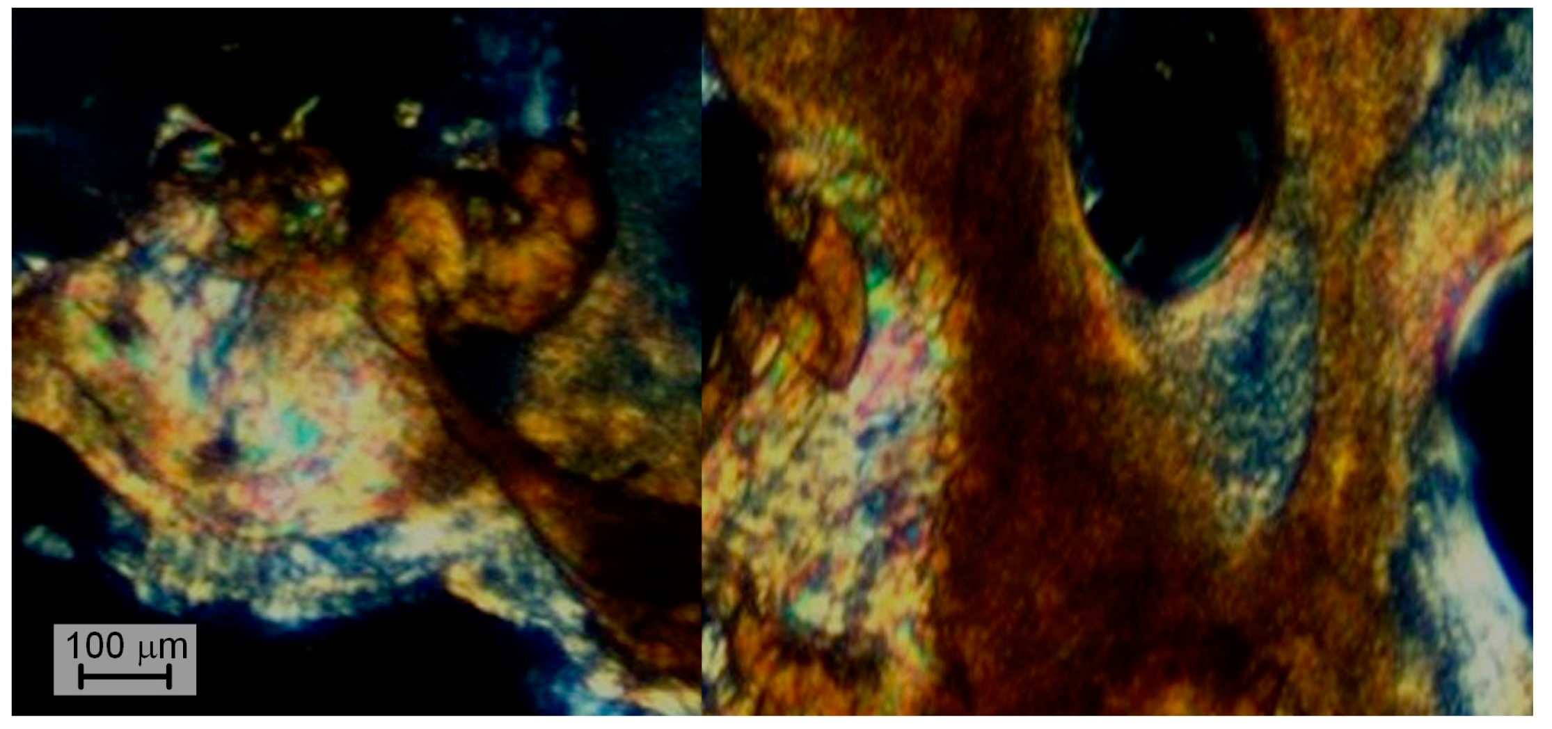 Polymers 16 01501 g005