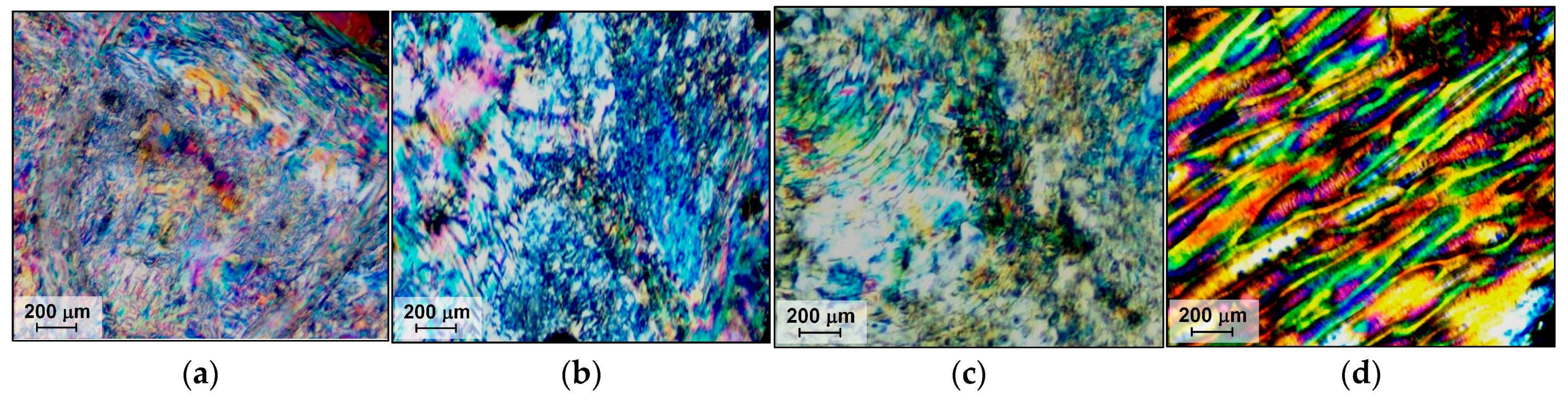 Polymers 16 01501 g011