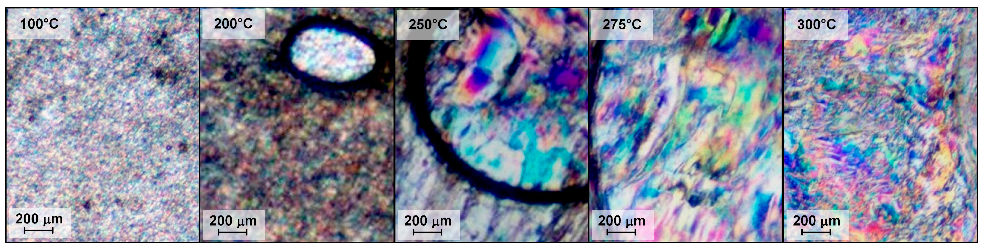 Polymers 16 01501 g012