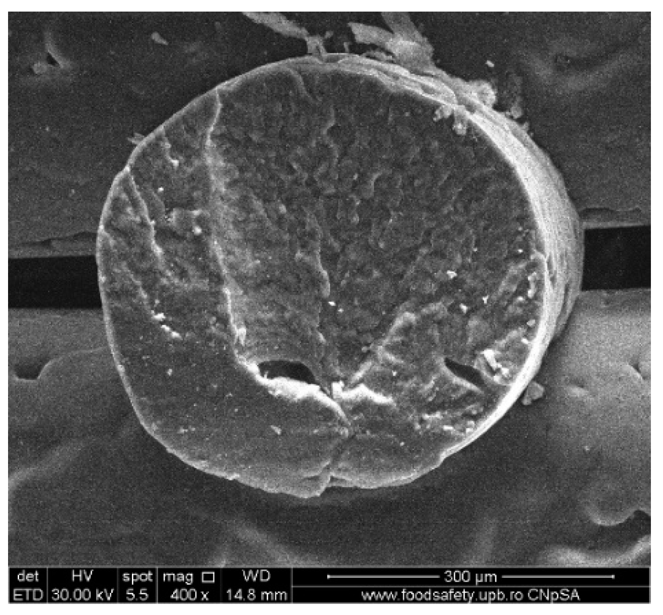 Polymers 16 01511 g004