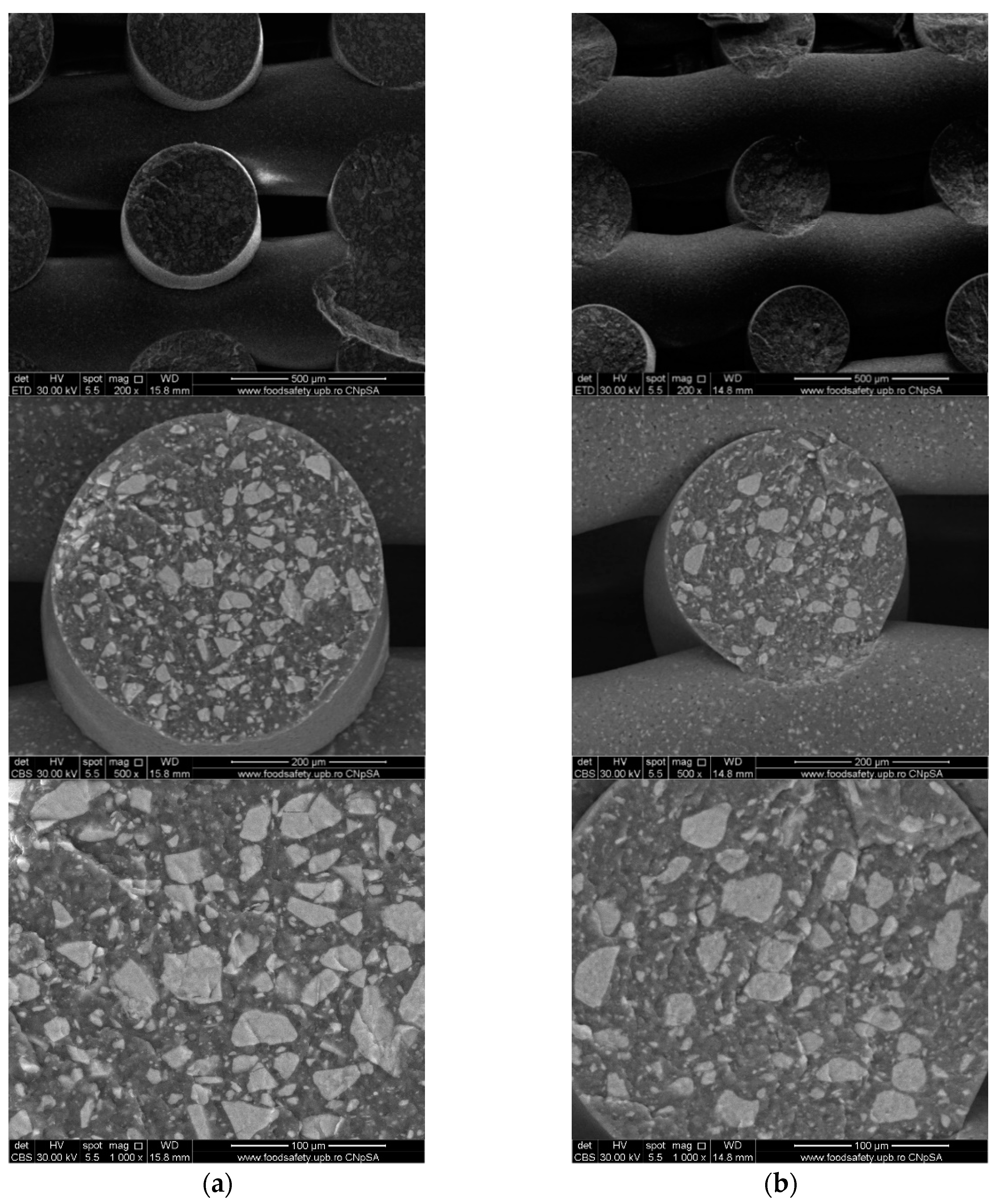 Polymers 16 01511 g006