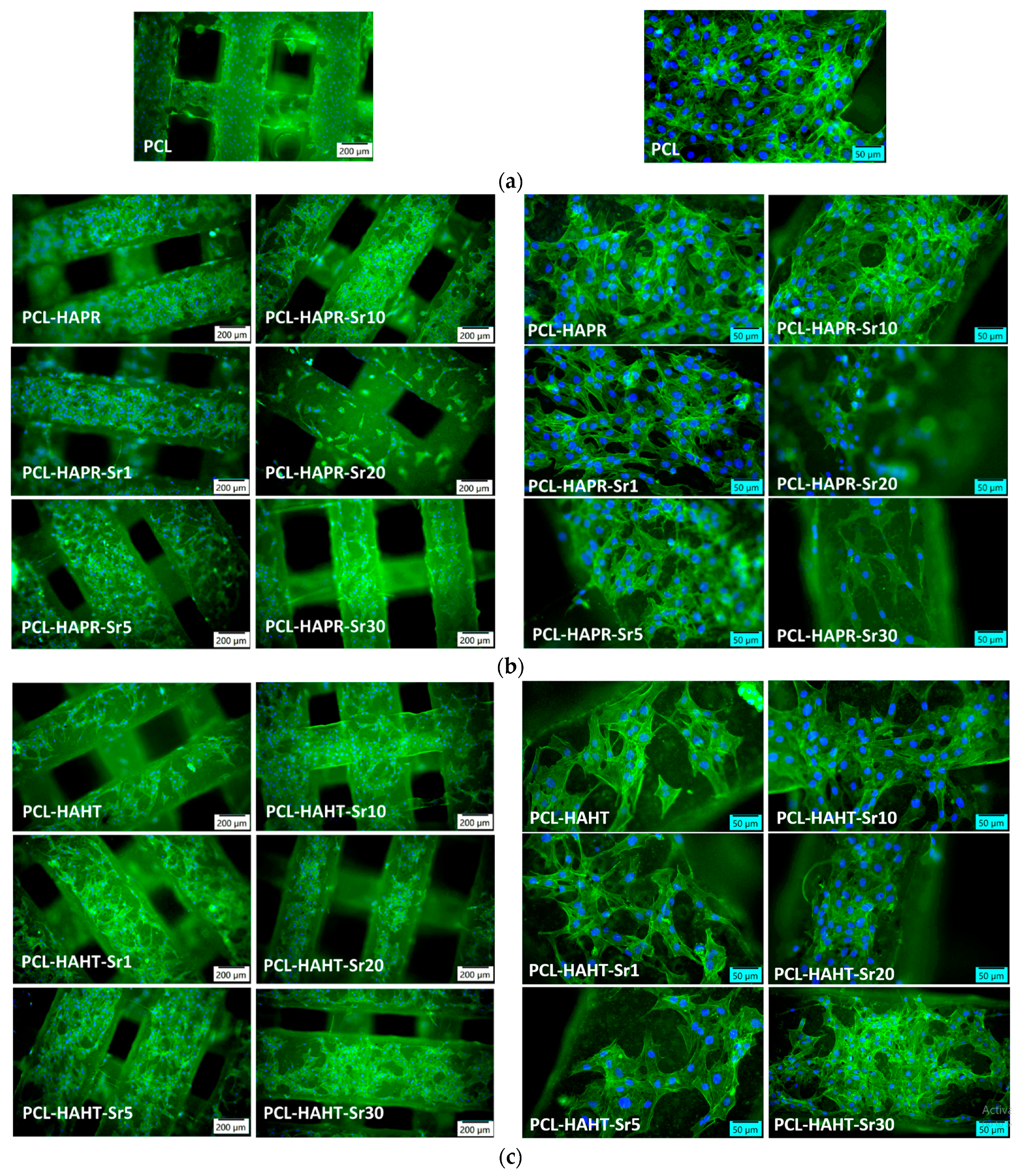 Polymers 16 01511 g017