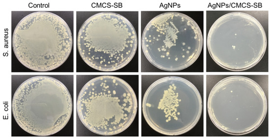 Synthesis, Characterization, and Evaluation of Silver