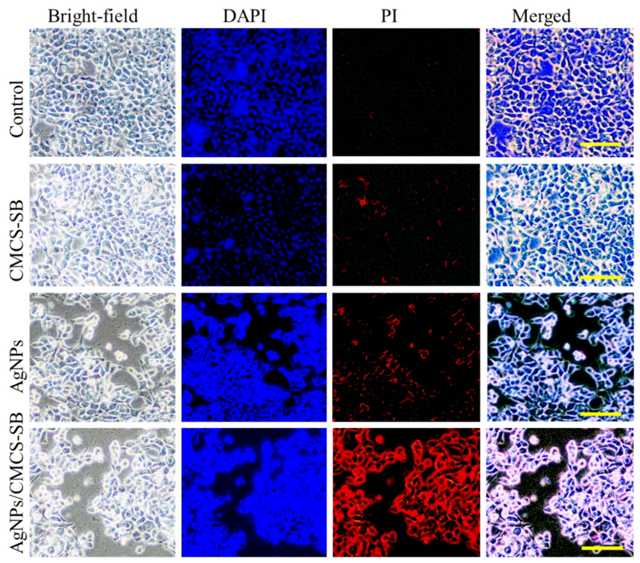 Polymers 16 01513 g008
