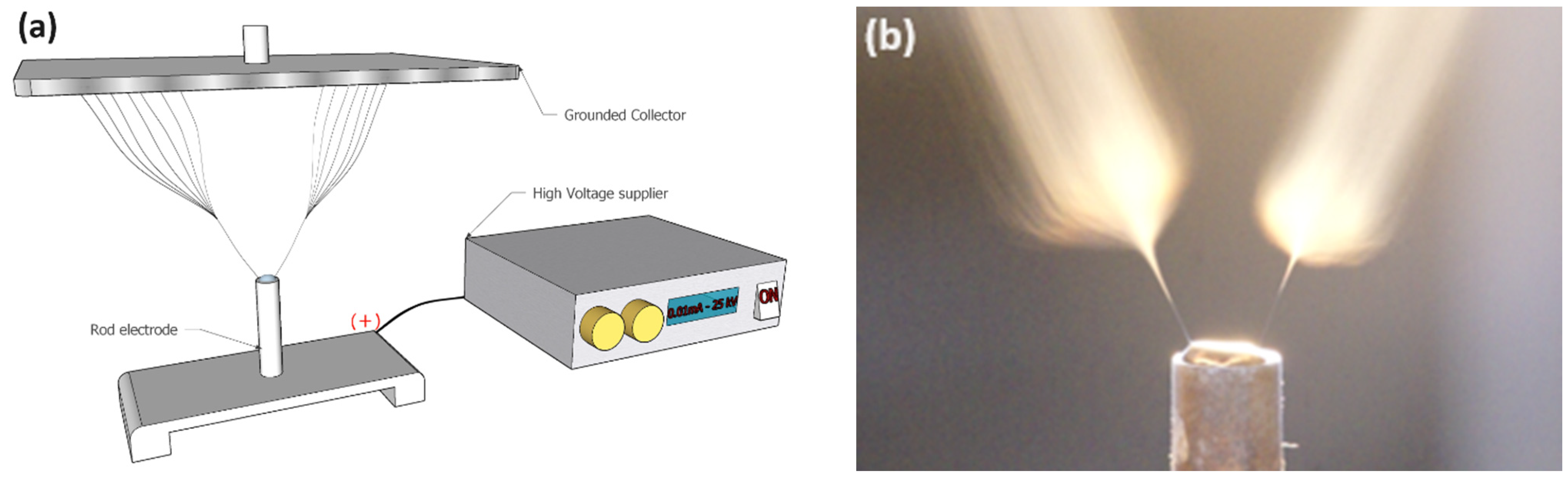 Polymers 16 01516 g002