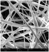 Polymers 16 01516 i006
