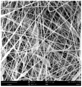 Polymers 16 01516 i007