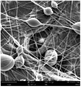 Polymers 16 01516 i008