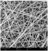 Polymers 16 01516 i011