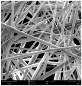 Polymers 16 01516 i013