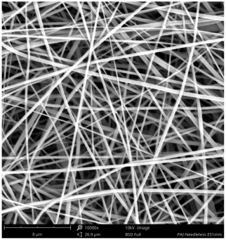 Polymers 16 01516 i015