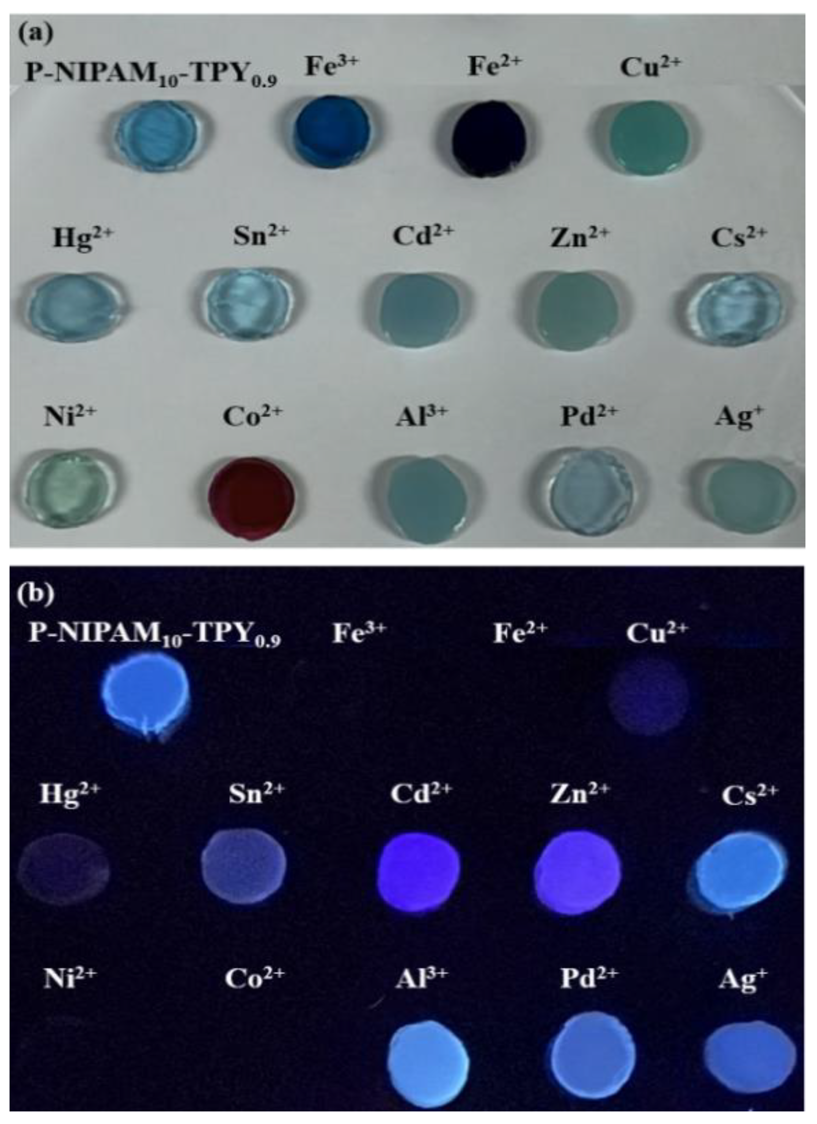 Polymers 16 01519 g004