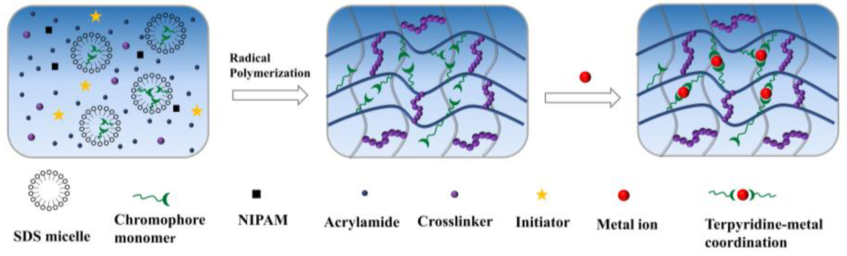 Polymers 16 01519 sch001
