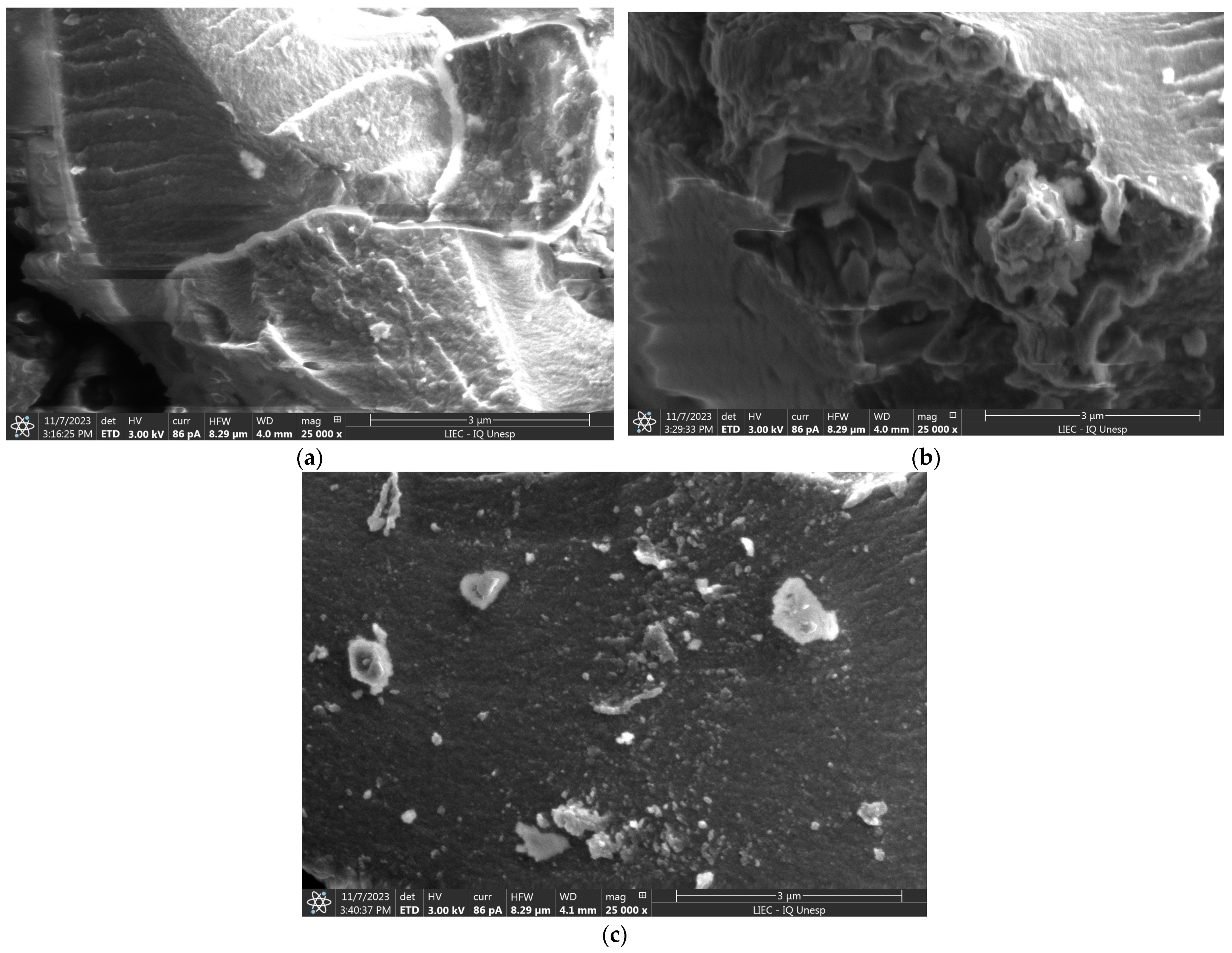 Polymers 16 01523 g004