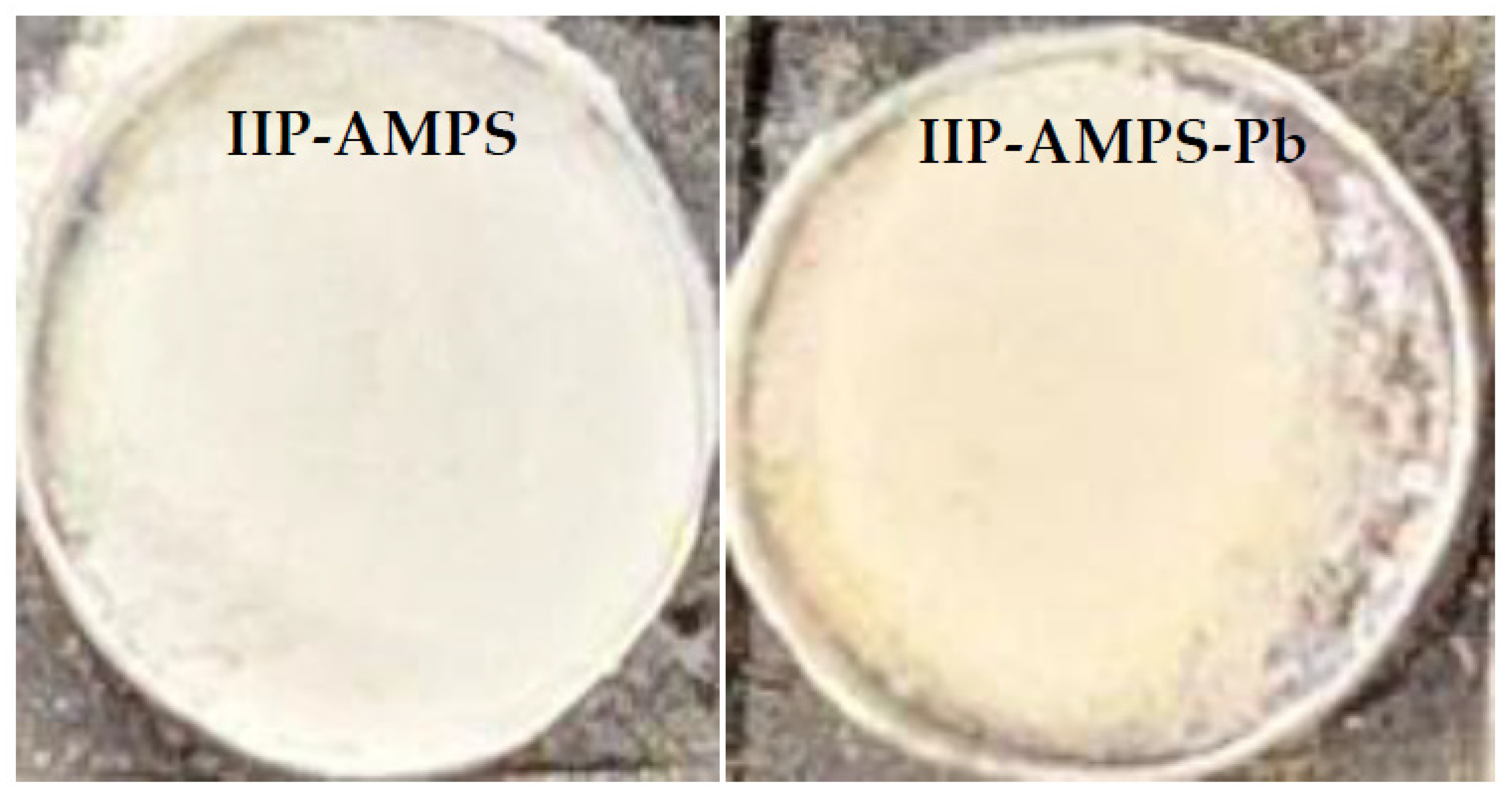 Polymers 16 01523 g008