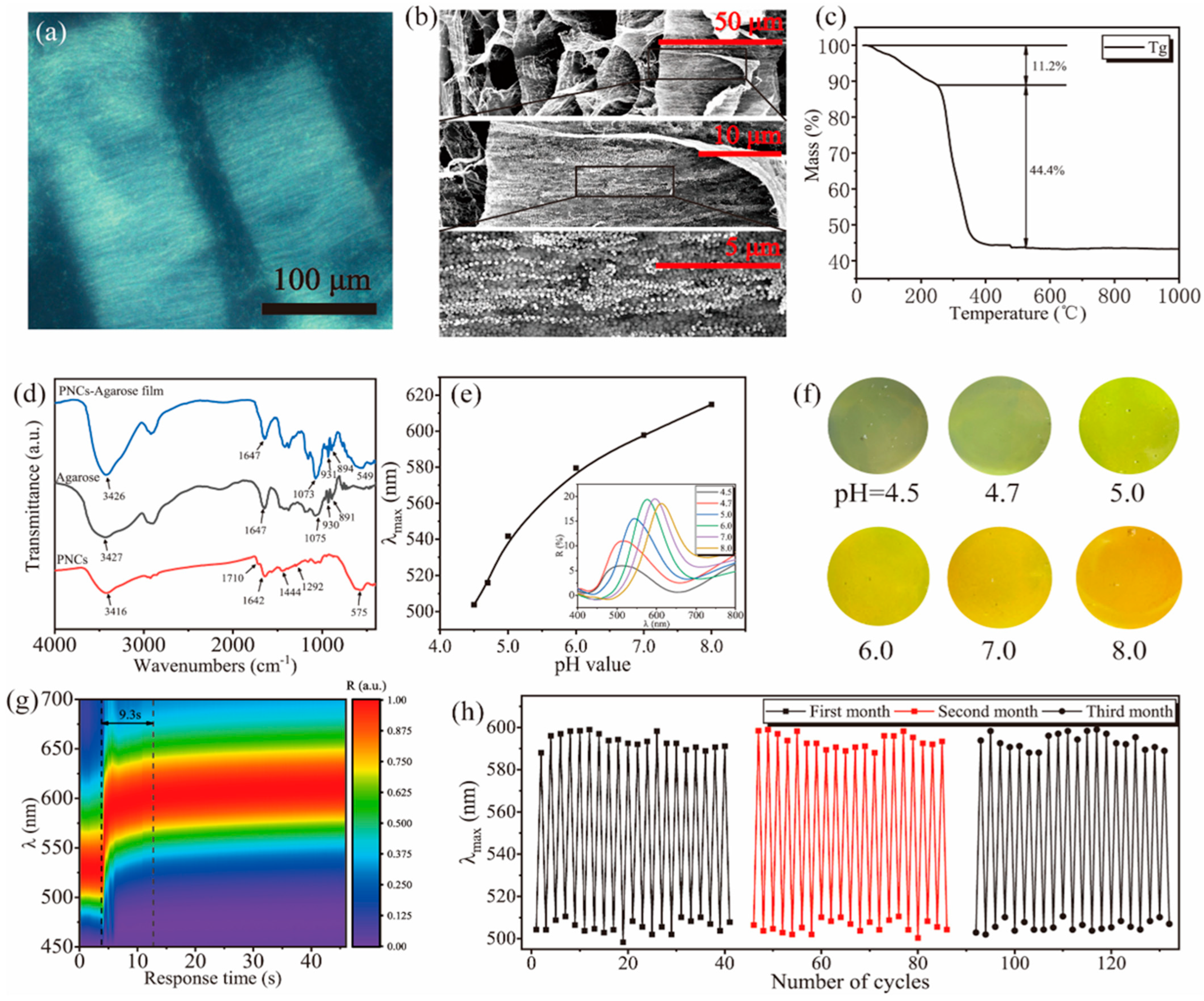 Polymers 16 01530 g002