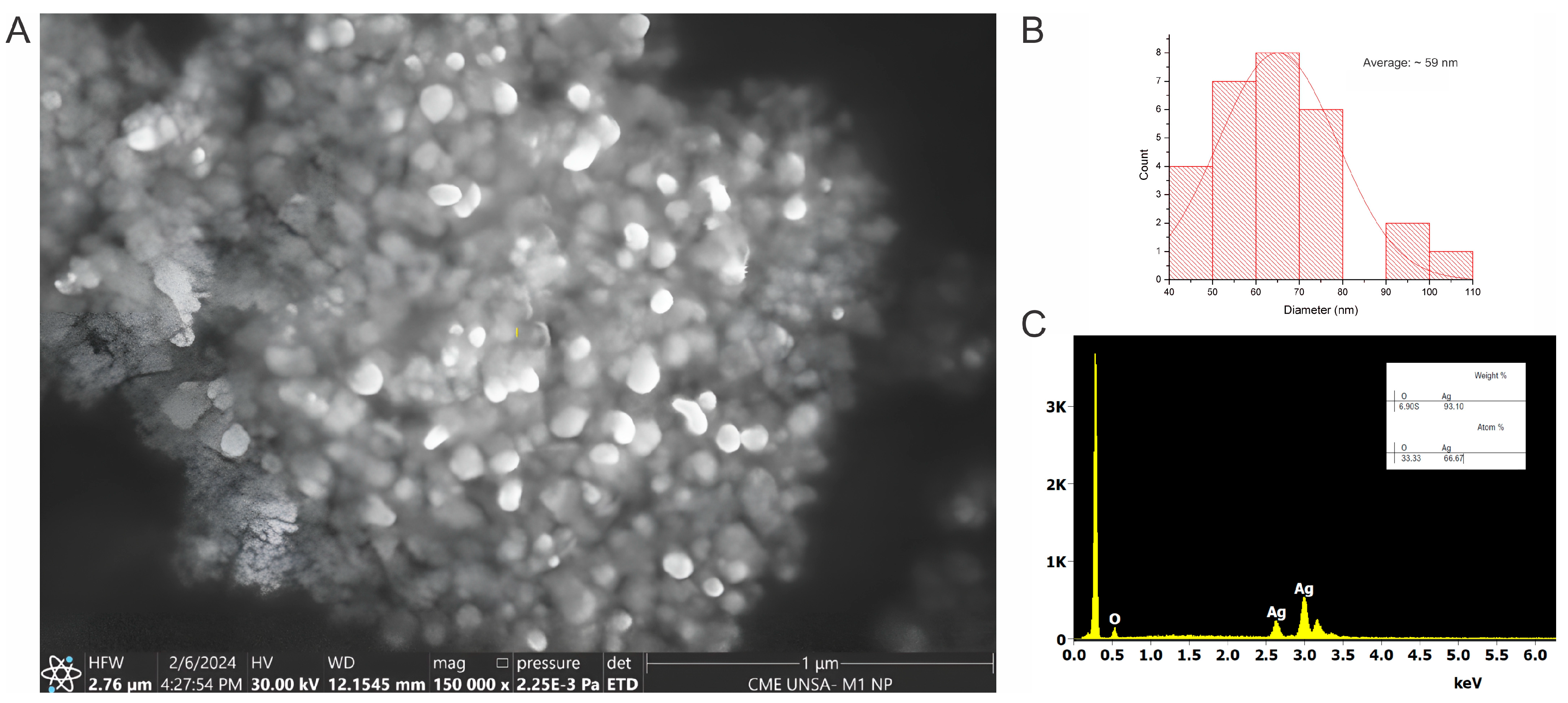 Polymers 16 01531 g002