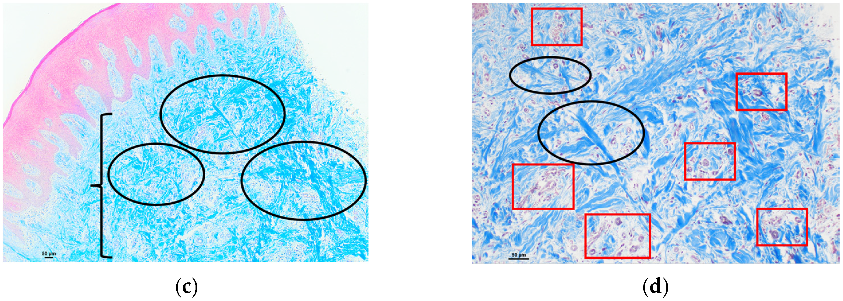 Polymers 16 01534 g003b