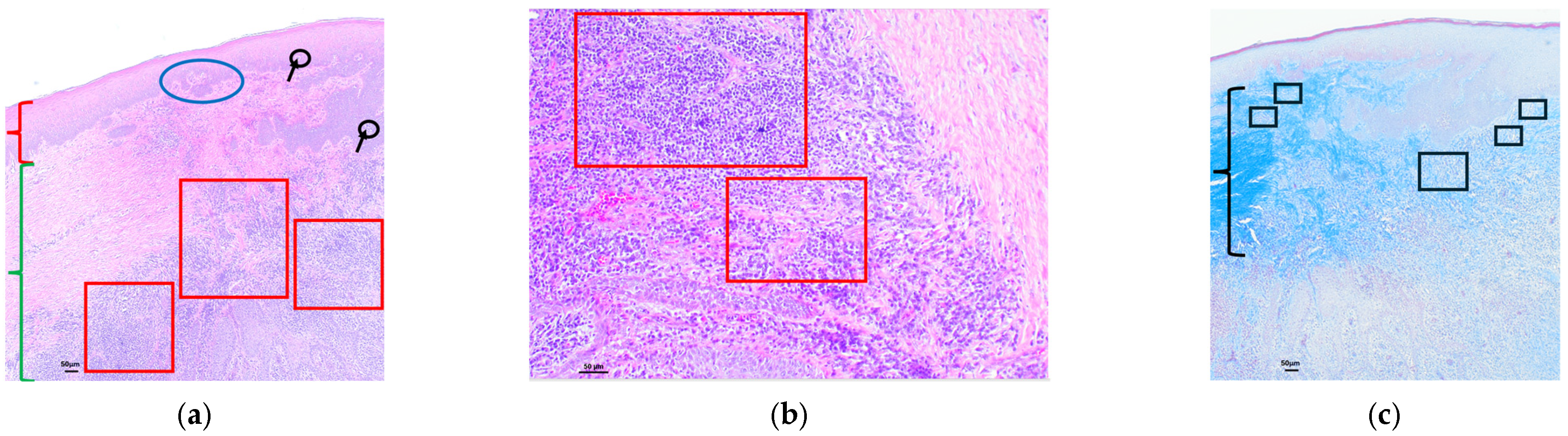 Polymers 16 01534 g004