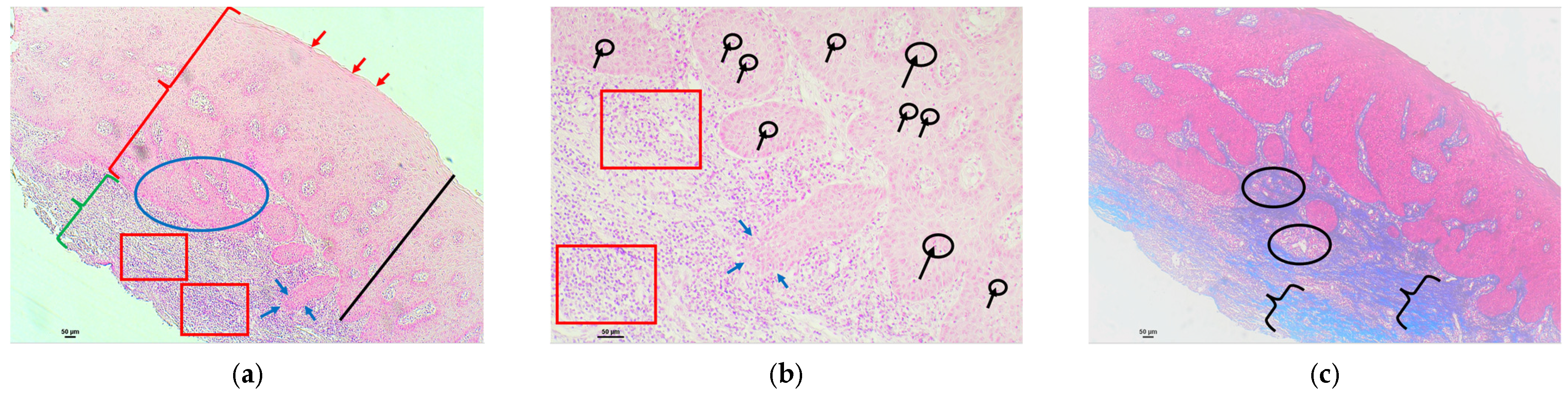 Polymers 16 01534 g007