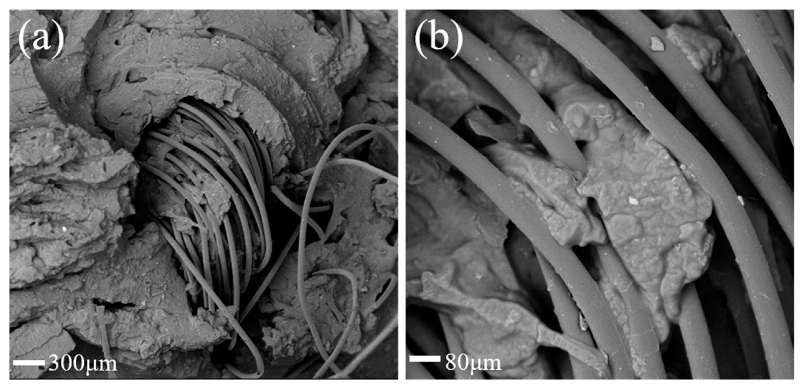 Polymers 16 01544 g002