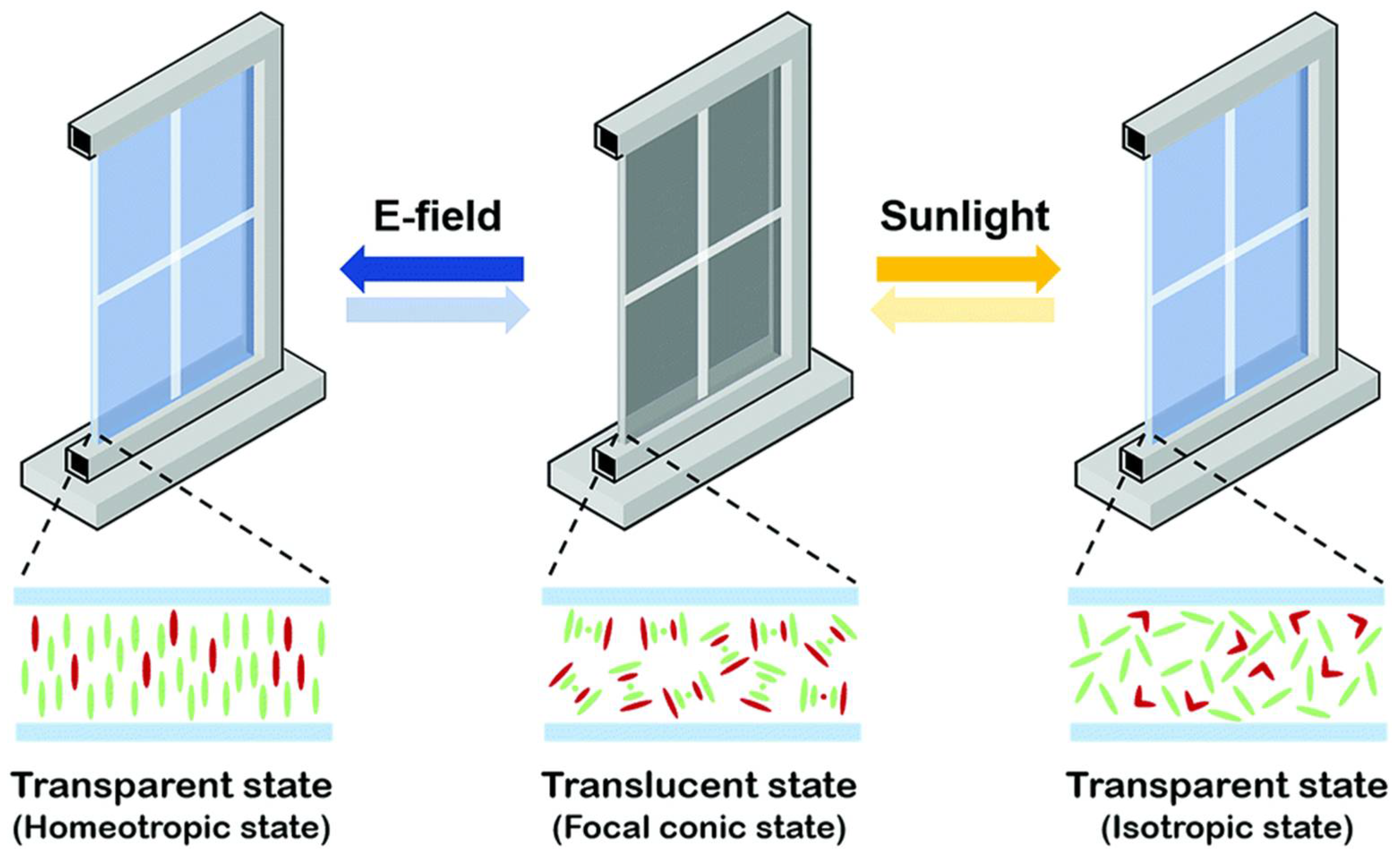 Polymers 16 01545 g006