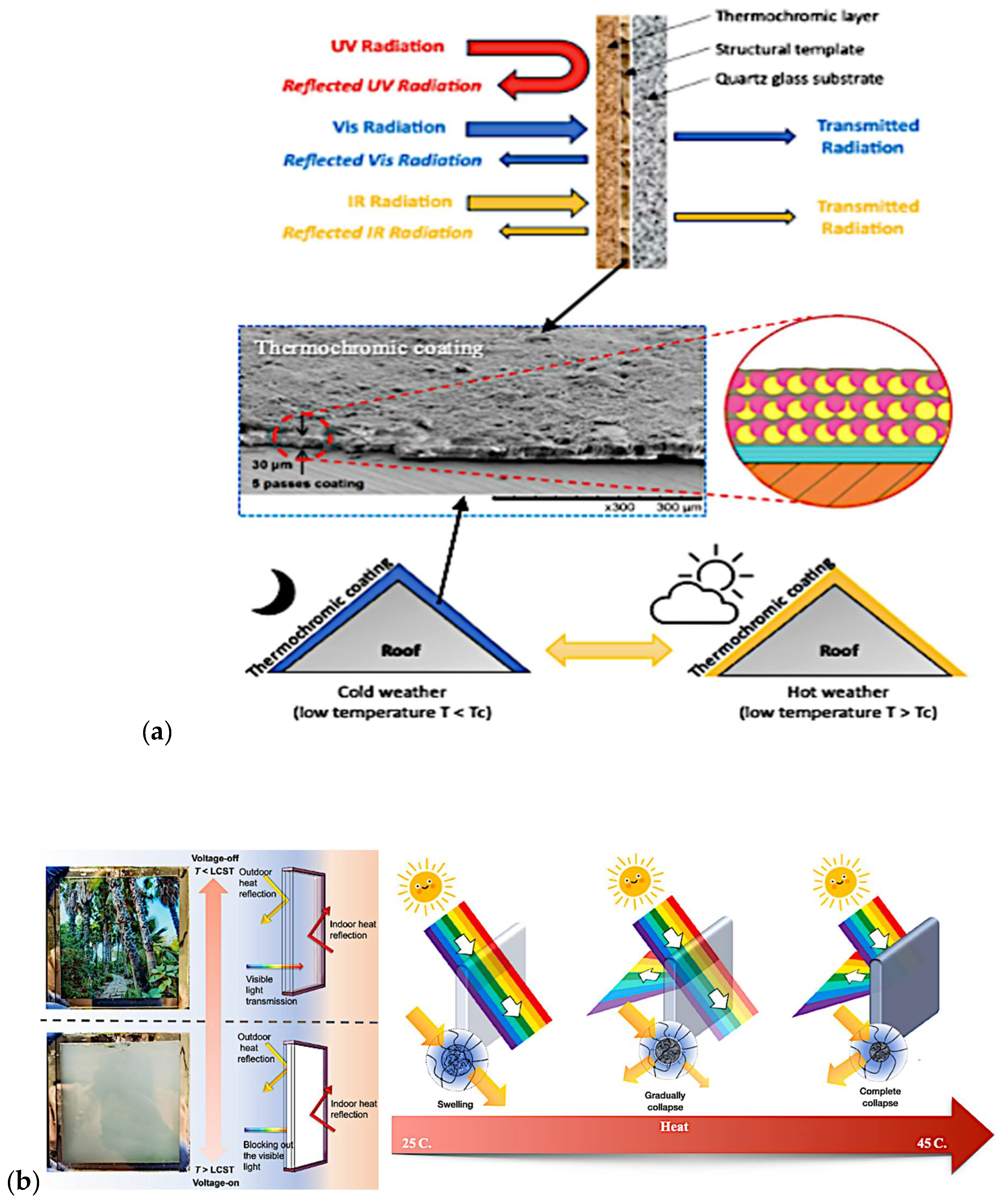 Polymers 16 01545 g010