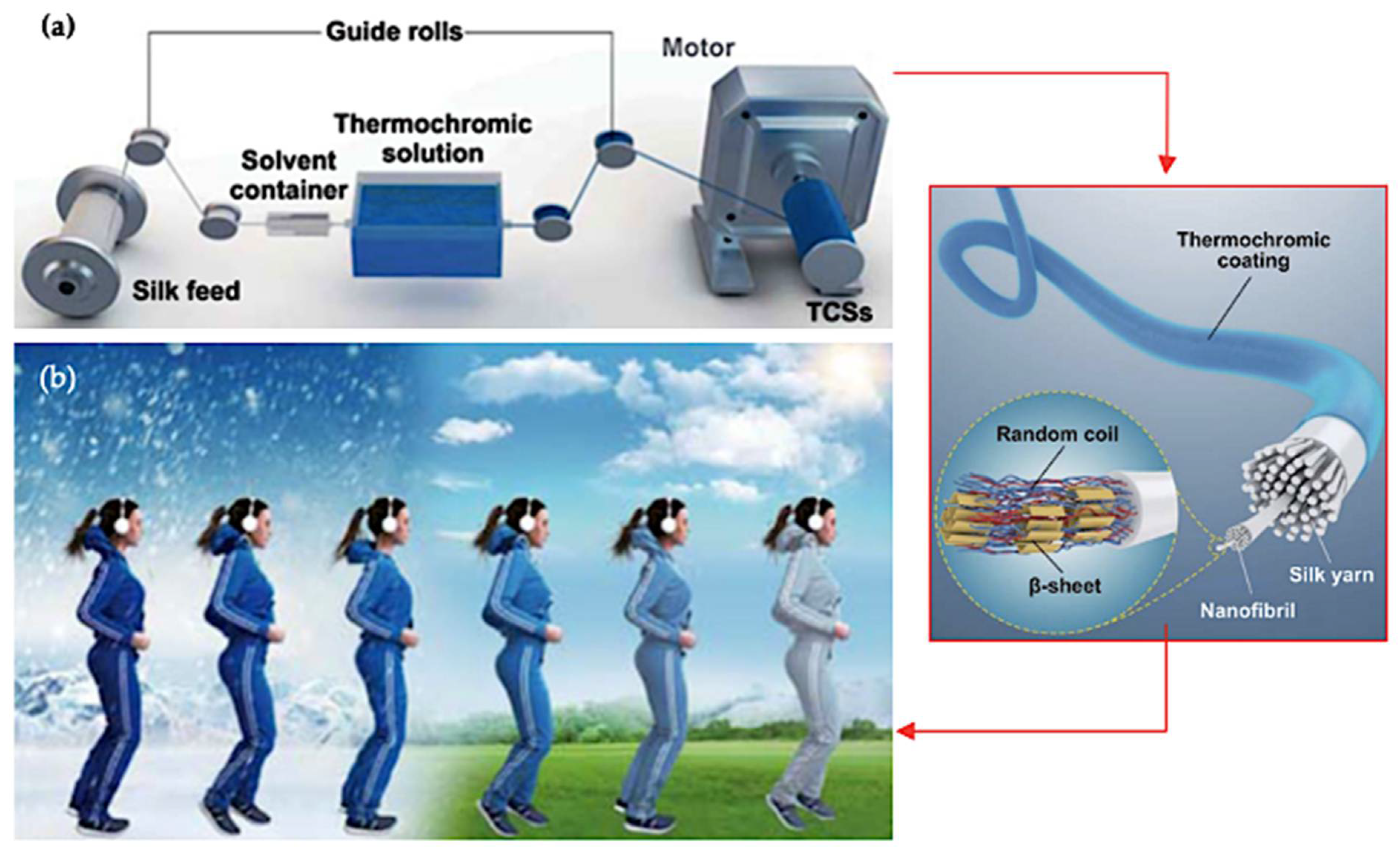 Polymers 16 01545 g014