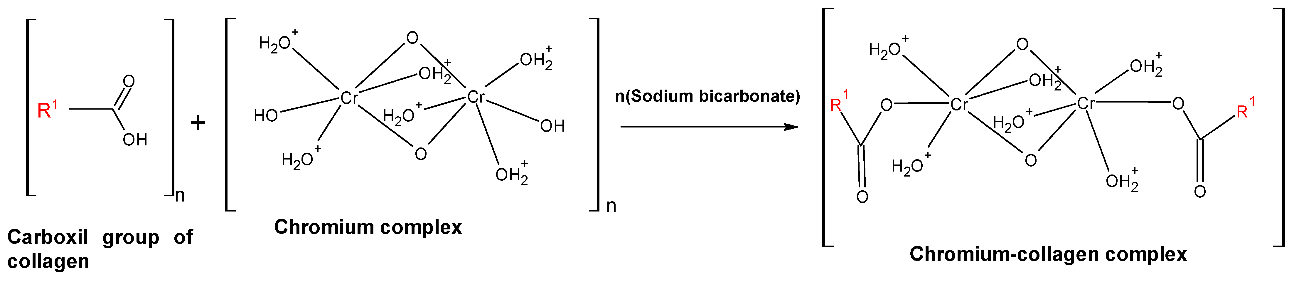 Polymers 16 01546 g002