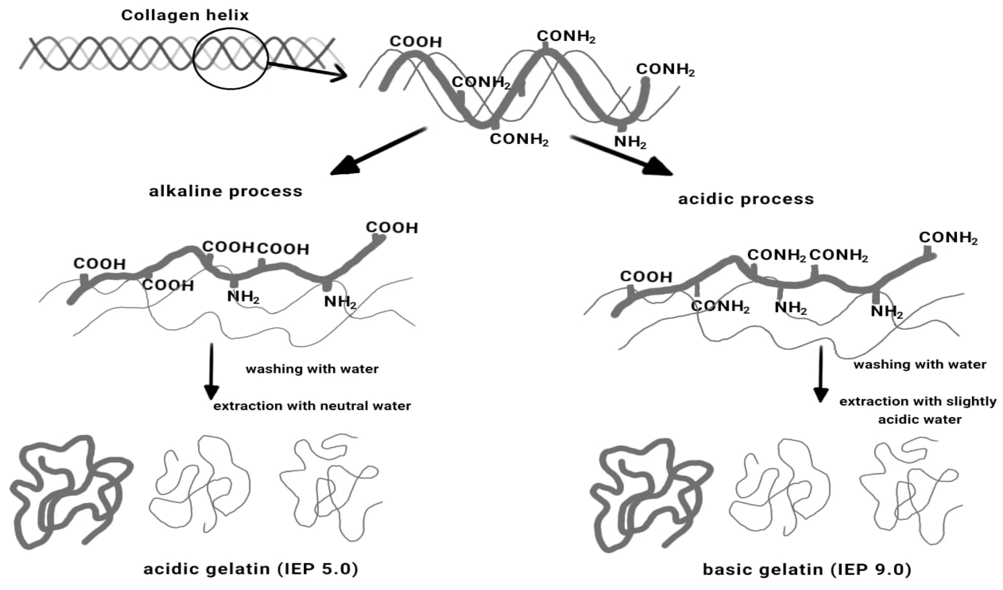 Polymers 16 01546 g005