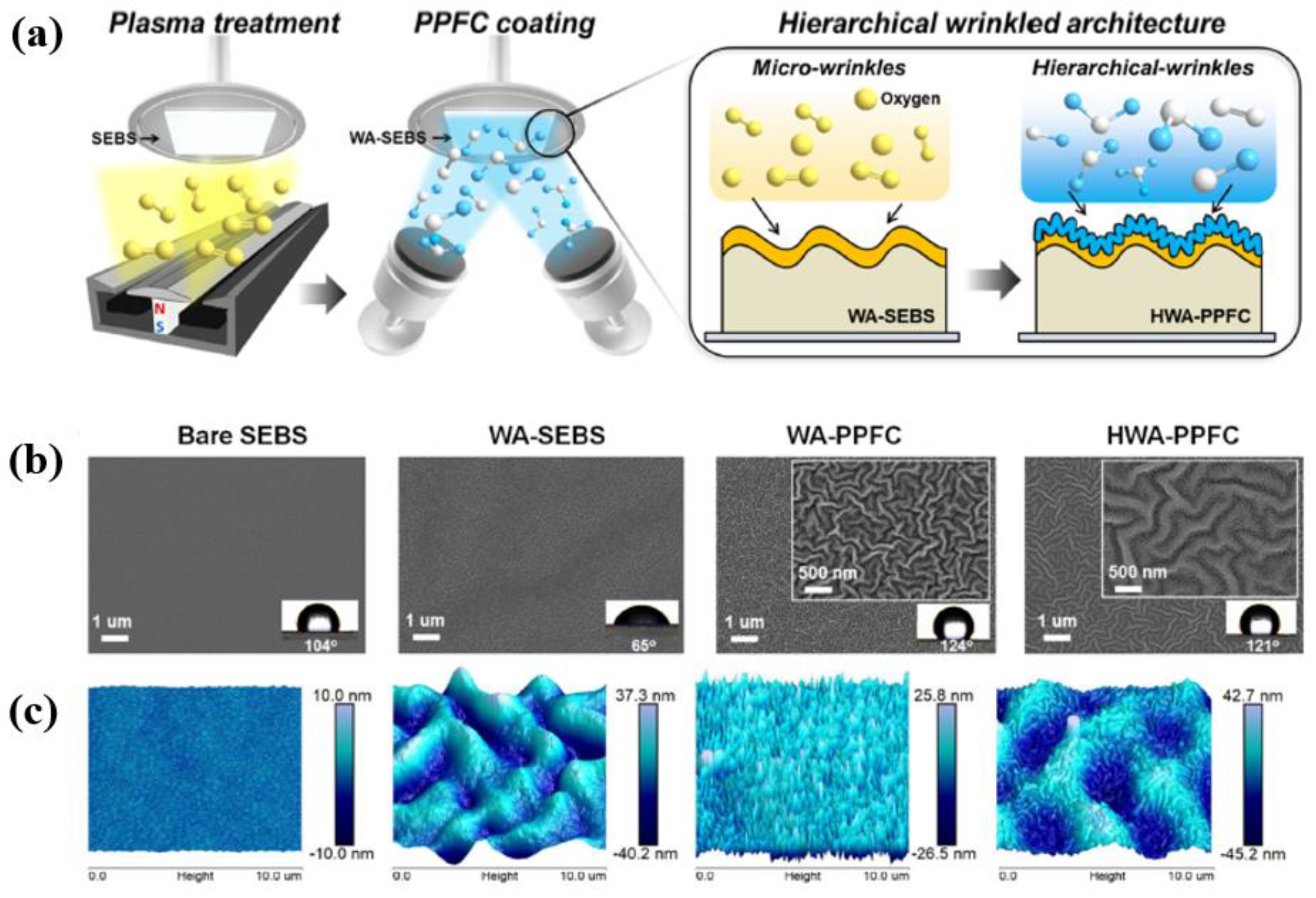 Polymers 16 01548 g025