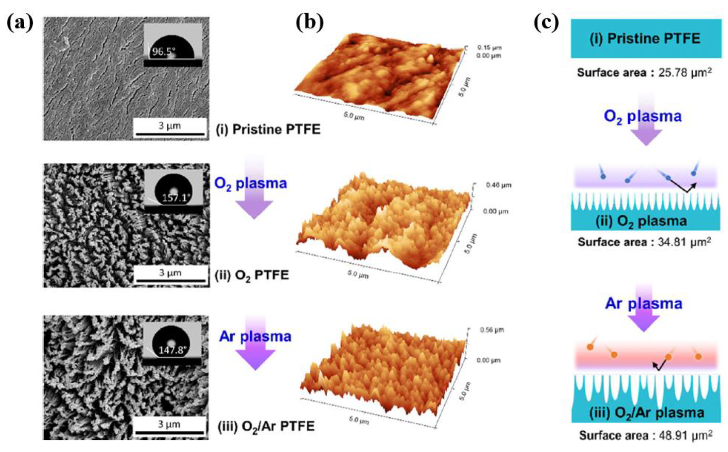 Polymers 16 01548 g029