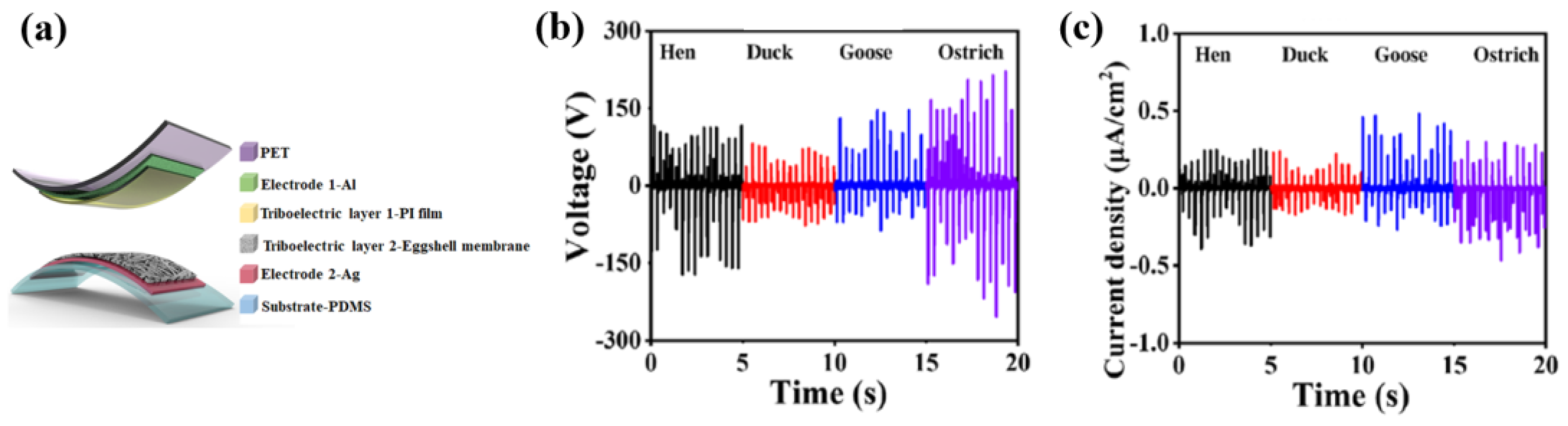 Polymers 16 01548 g036