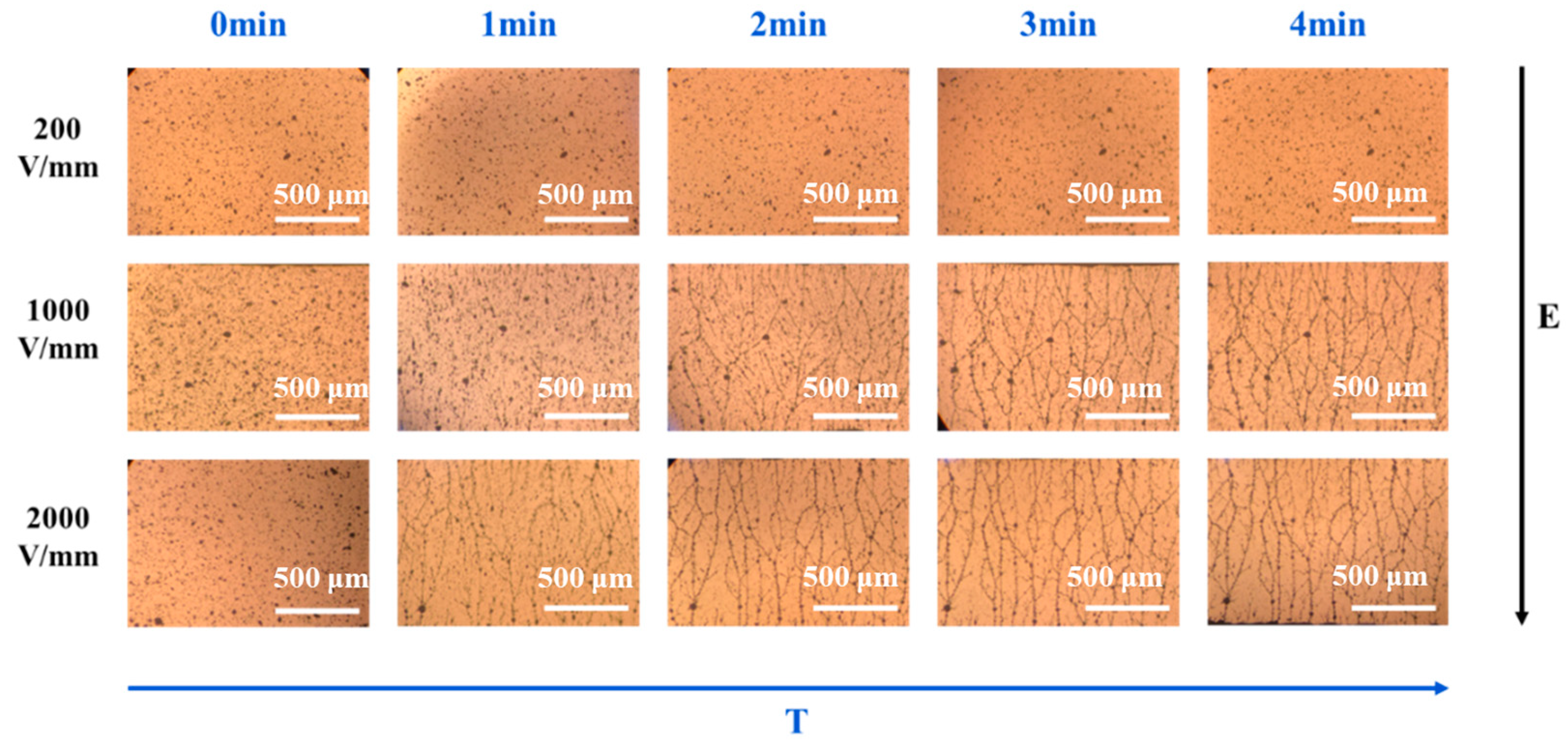 Polymers 16 01549 g002