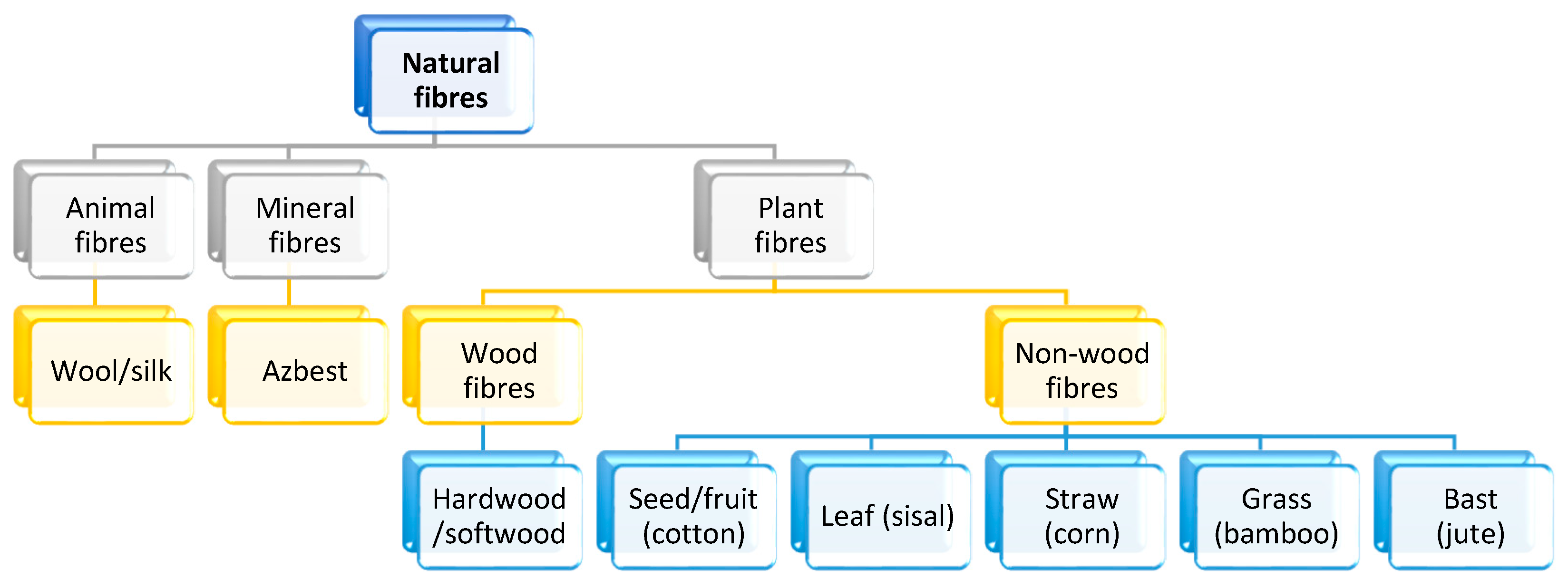 Polymers 16 01556 g002
