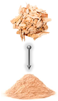 Polymers 16 01556 i001