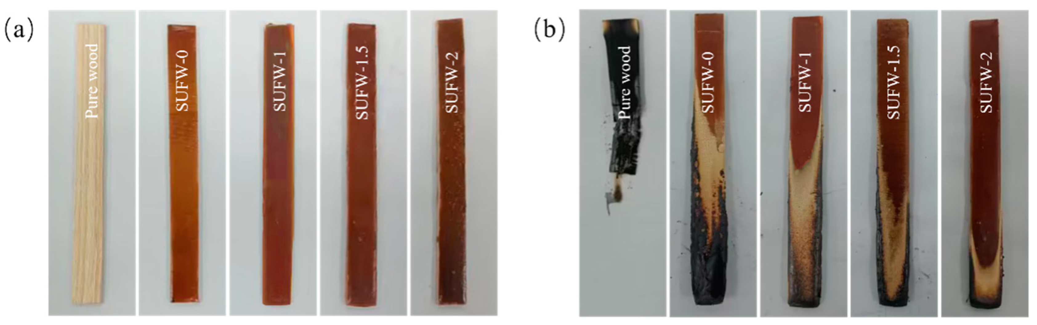 Polymers 16 01557 g004