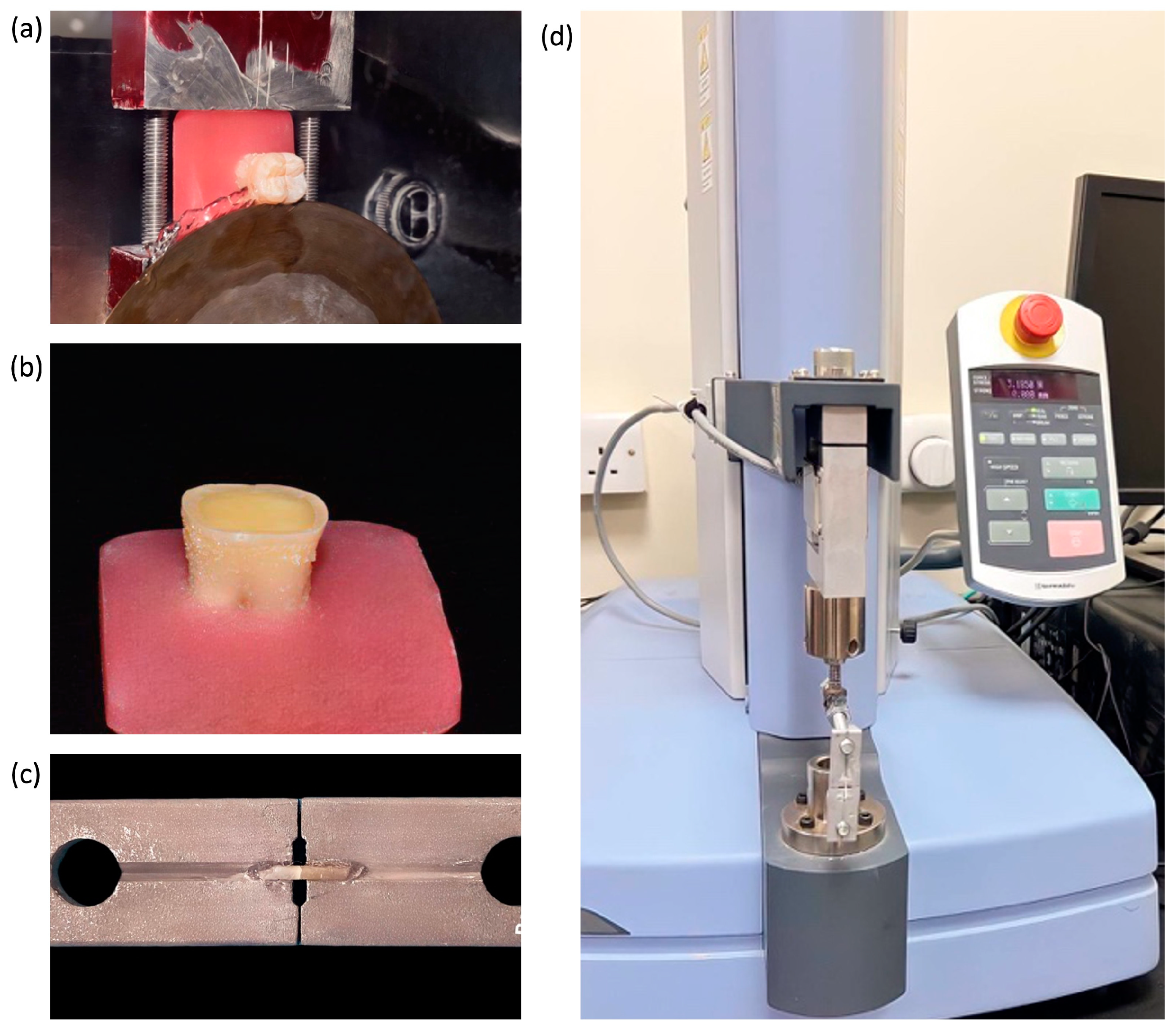 Polymers 16 01558 g001
