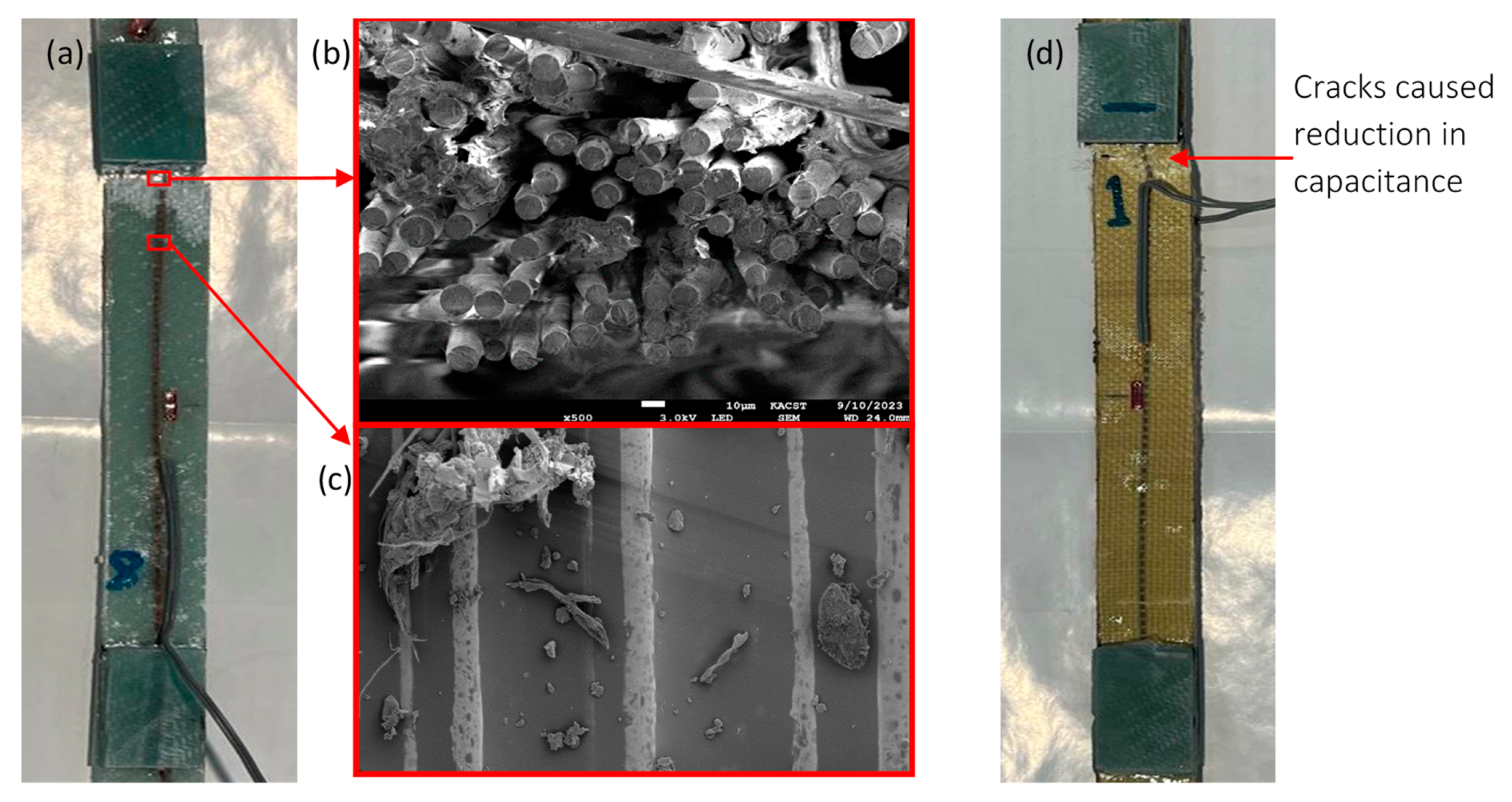 Polymers 16 01560 g008