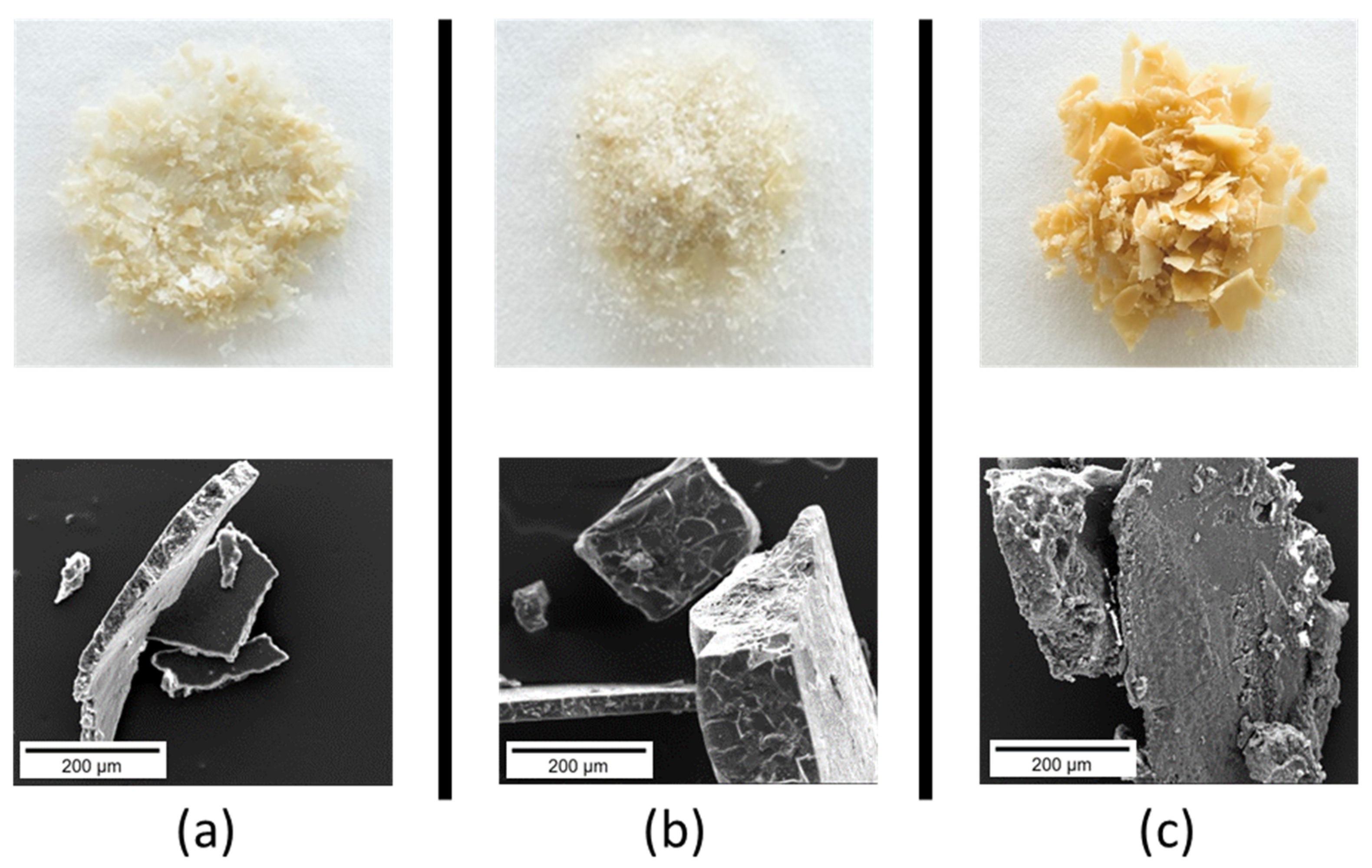 Polymers 16 01563 g002