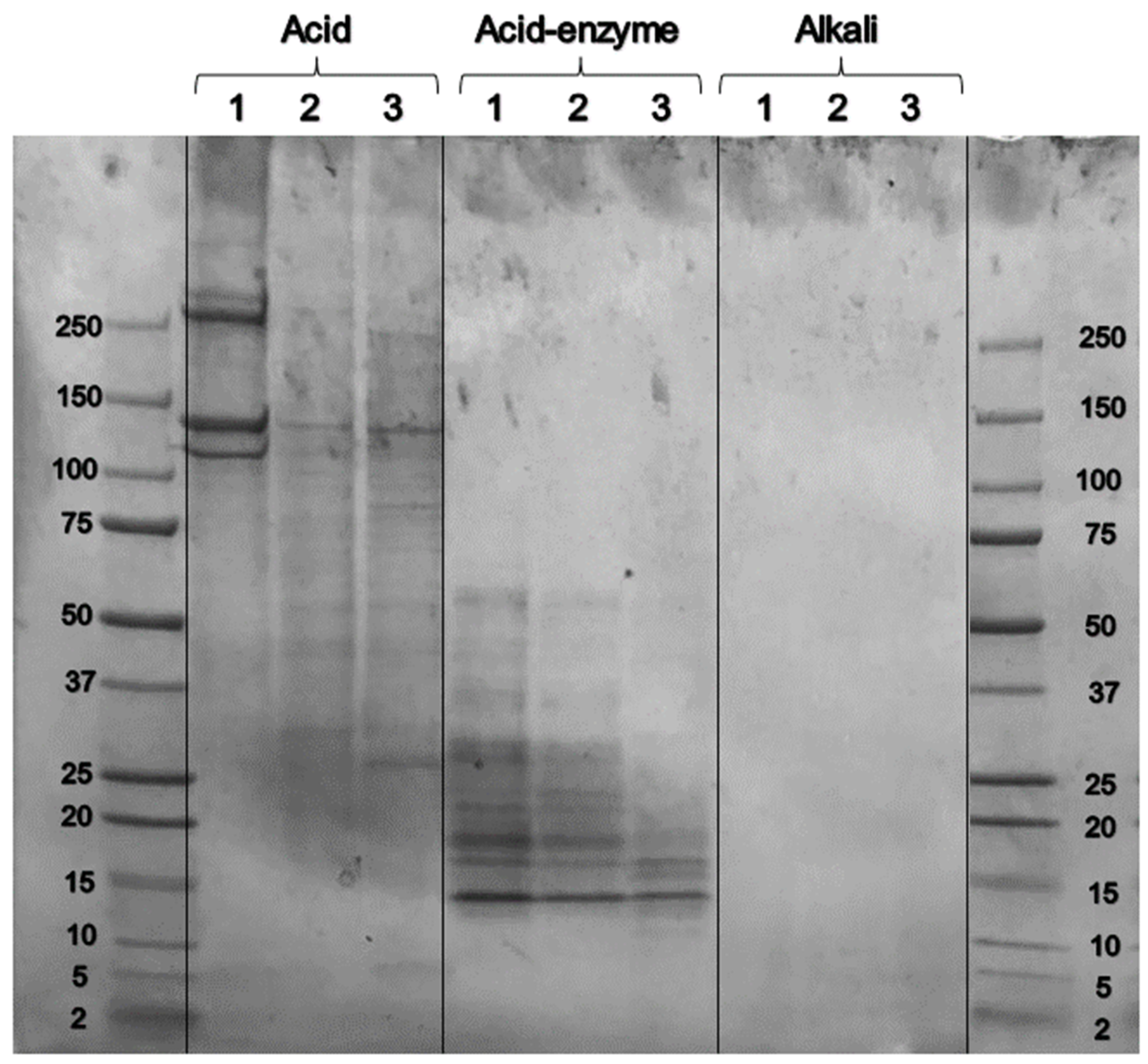 Polymers 16 01563 g004