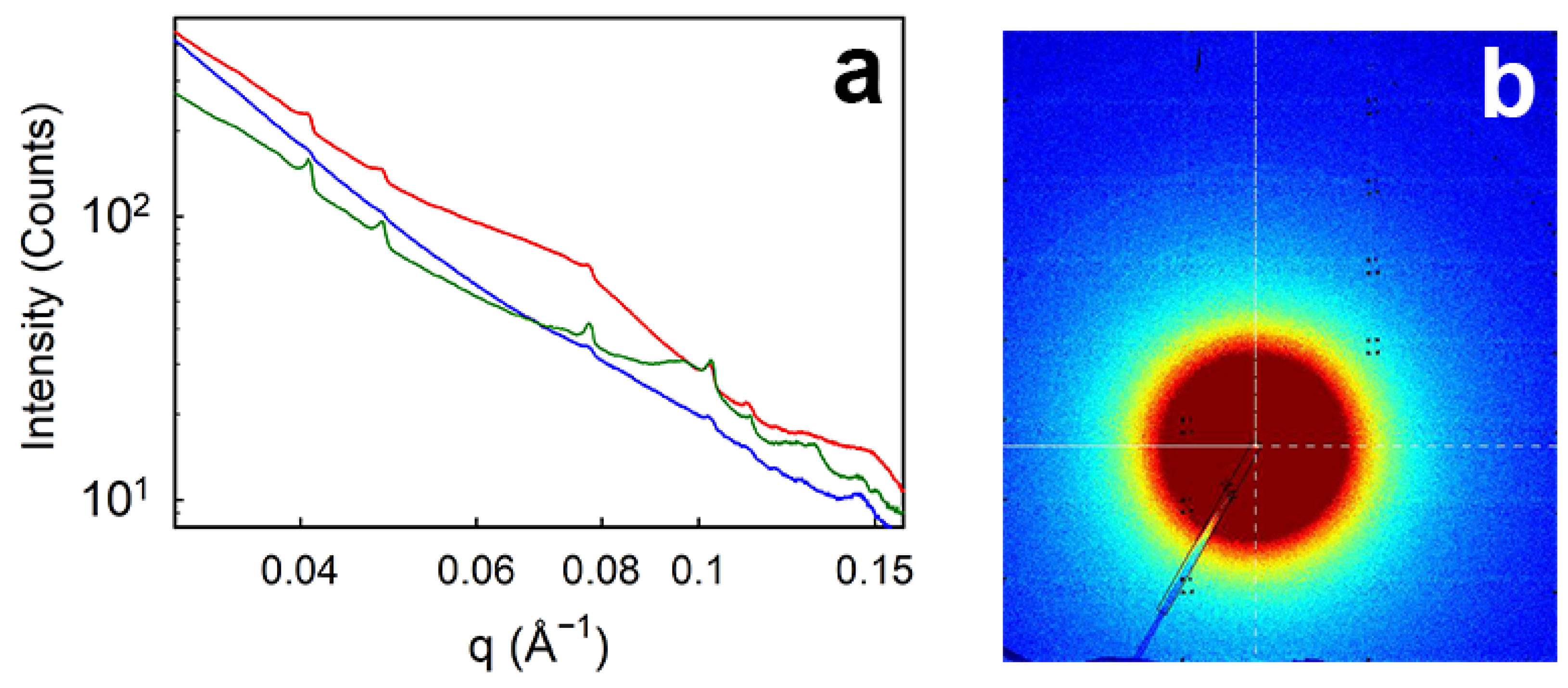 Polymers 16 01563 g005