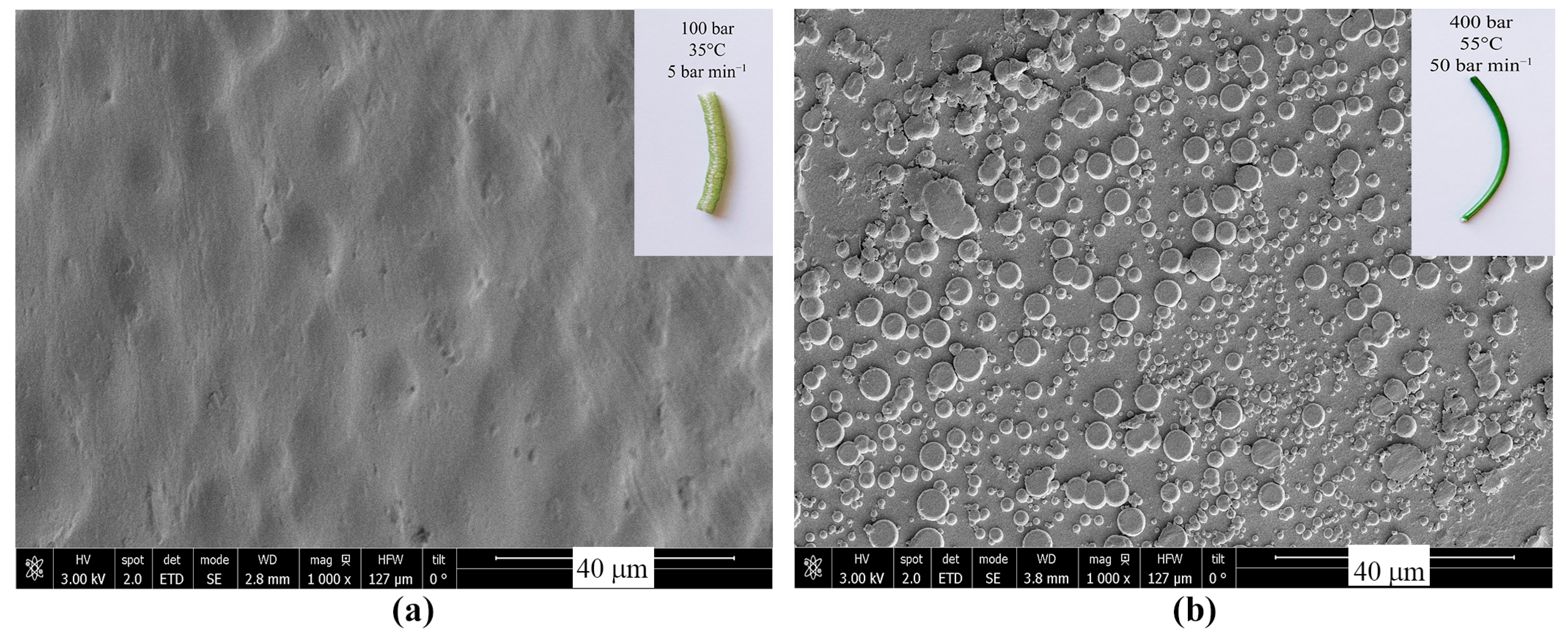 Polymers 16 01567 g003